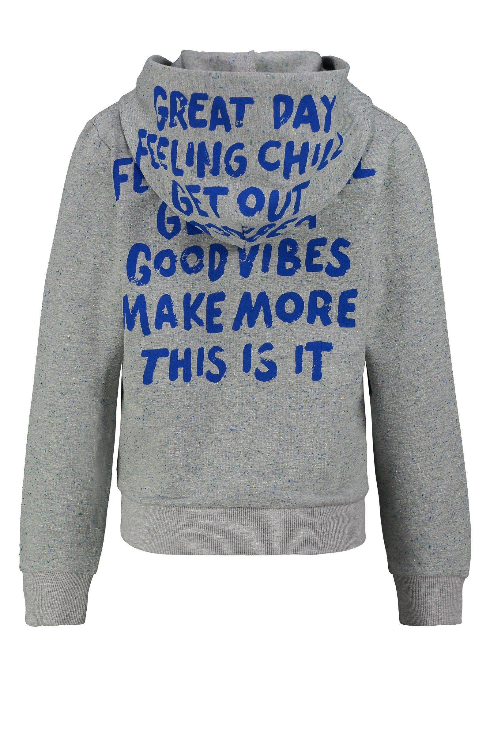 CKS Kids - BASEPPAS - hoodie - grey