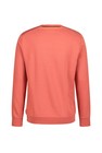 CKS heren - NEZIRA - sweater - oranje
