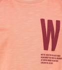 CKS Kids - WARWICK - t-shirt korte mouwen - oranje