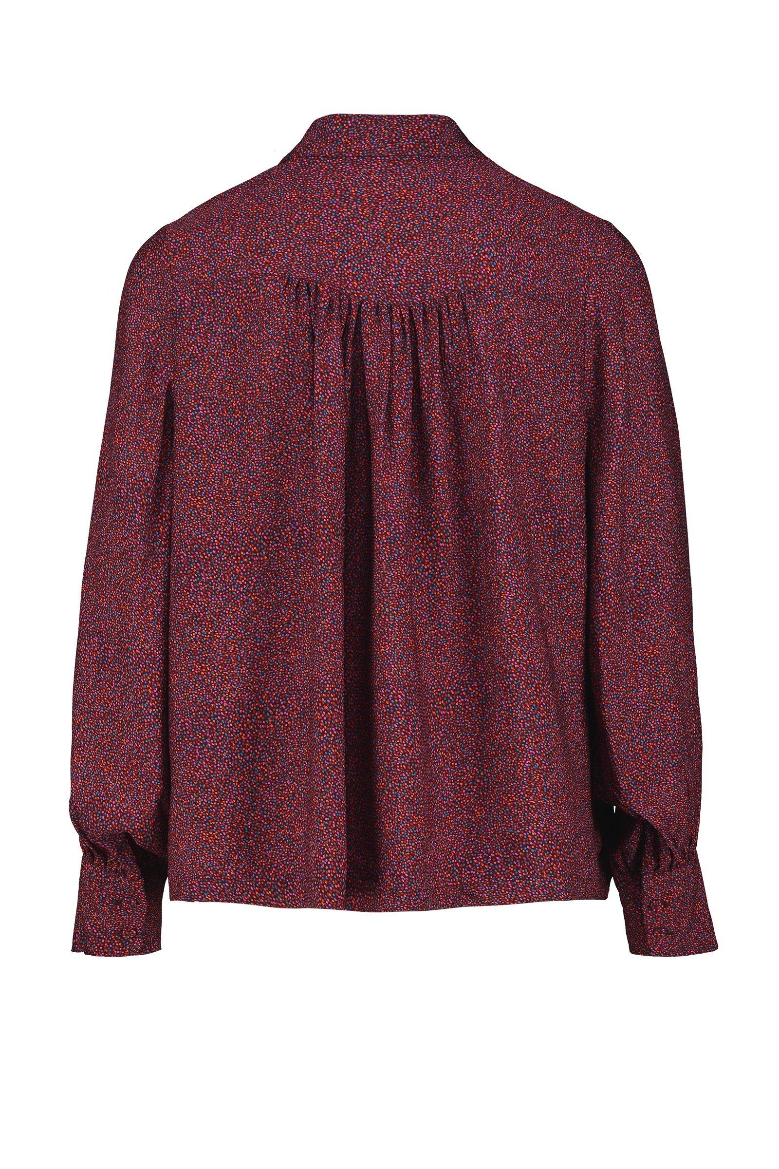 CKS Dames - PYRENA - blouse long sleeves - multicolor