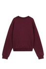 CKS Teens - GIBADAN - sweatshirt - rouge