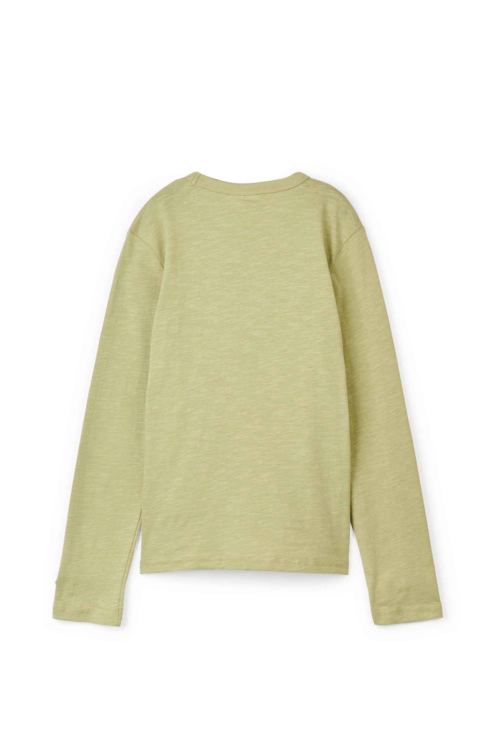 CKS Kids - FLIP - t-shirt long sleeves - light green