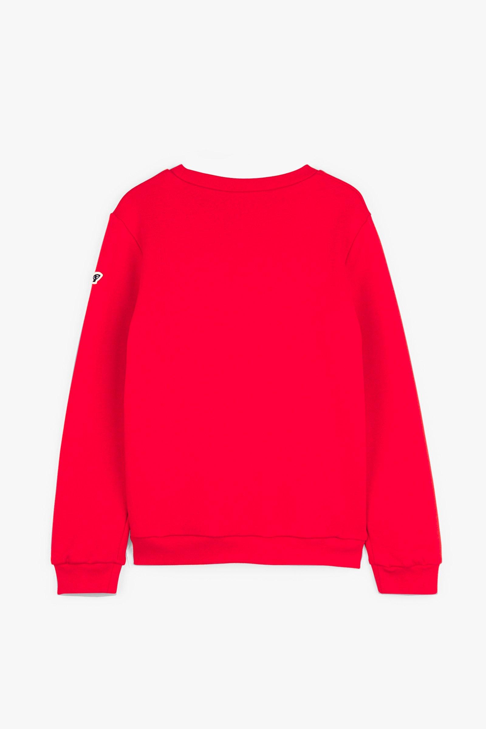 CKS Kids - FINE - Pullover - Rot