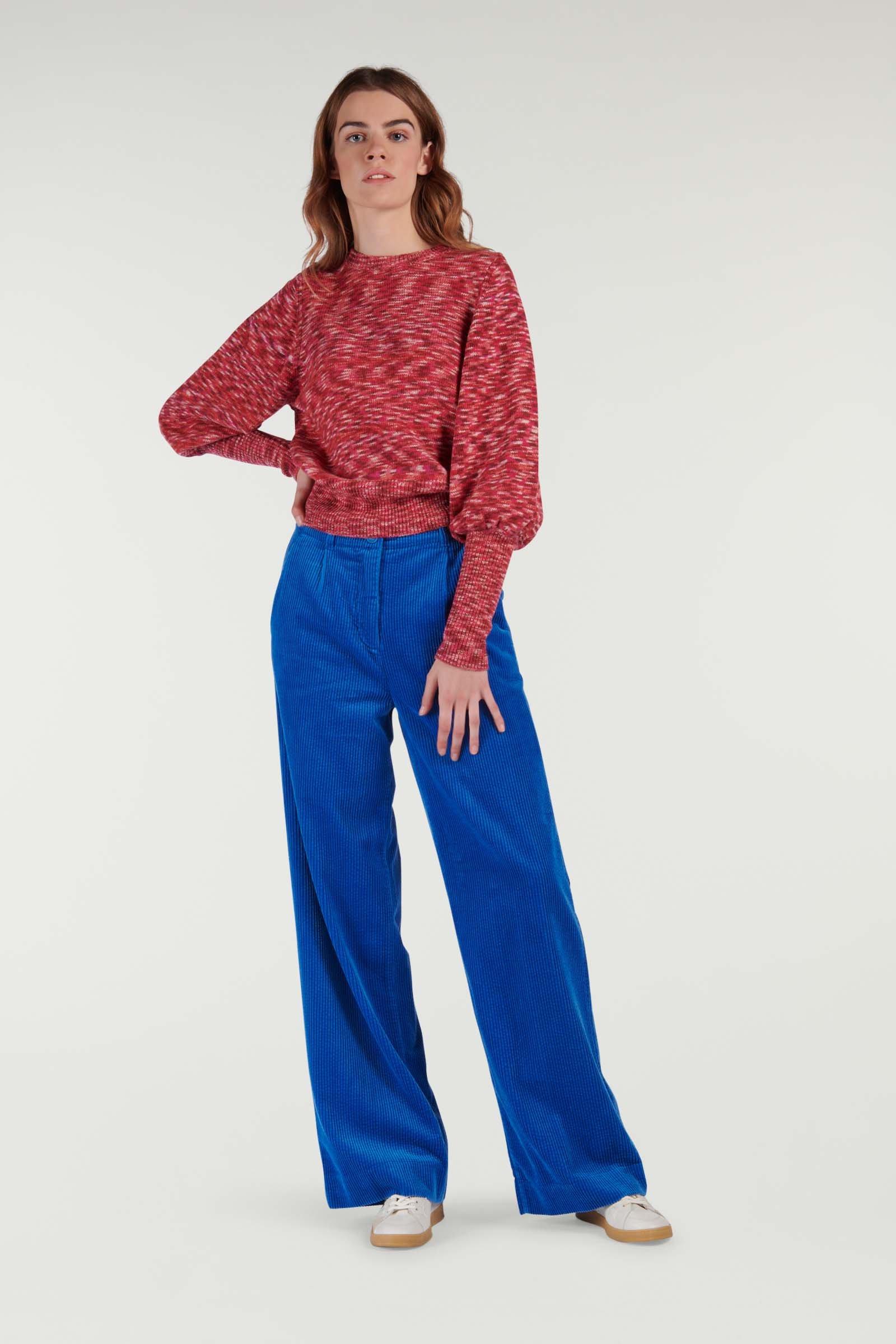 RODA - lange broek - blauw | CKS Fashion