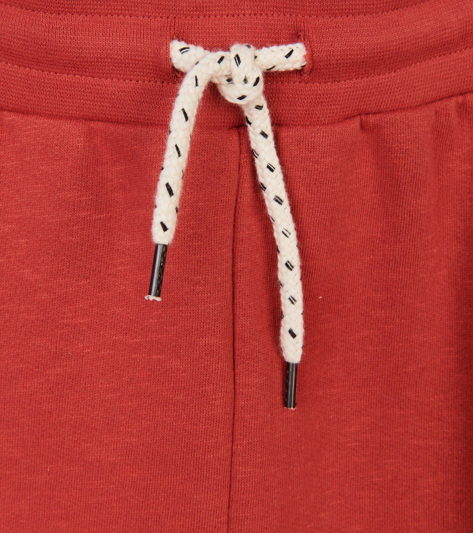 CKS Dames - GHANA - midi skirt - dark red