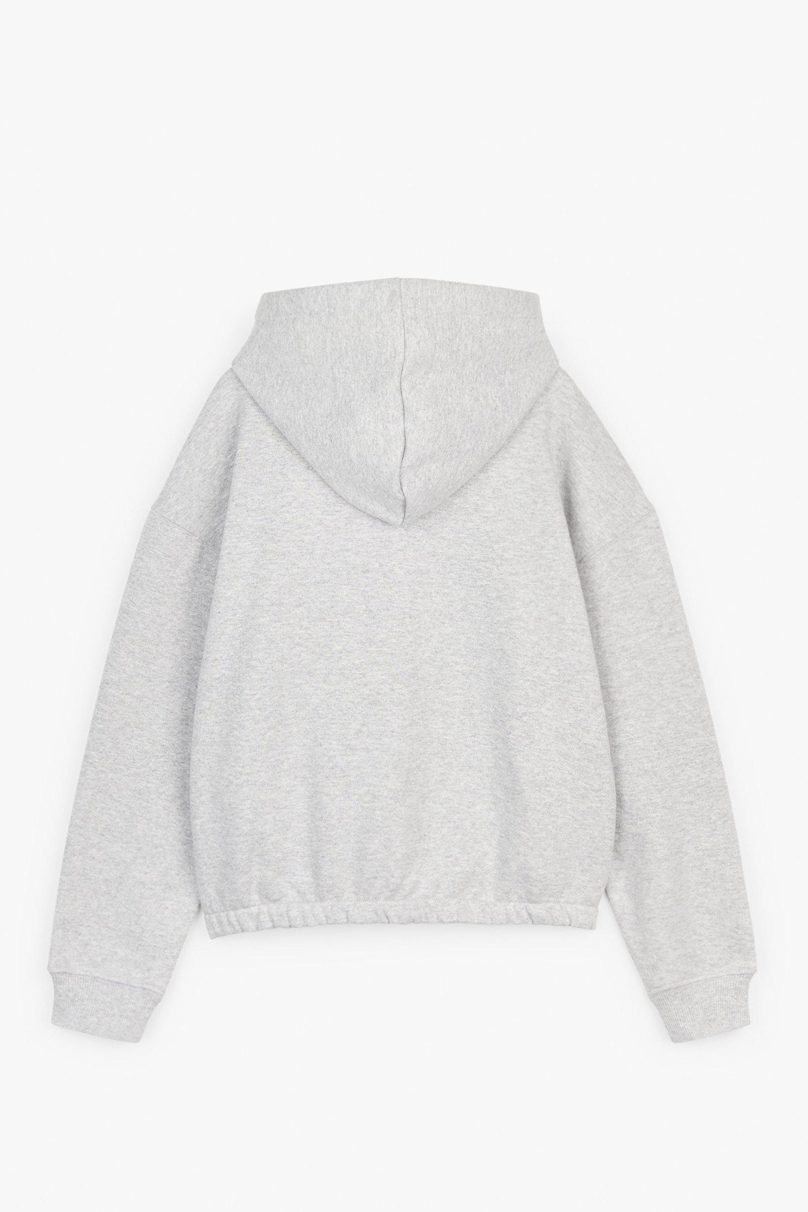 CKS Teens - GOOSE - sweatshirt à capuche - gris clair