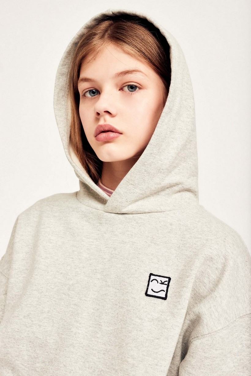 CKS Teens - GOOSE - sweater met capuchon - lichtgrijs