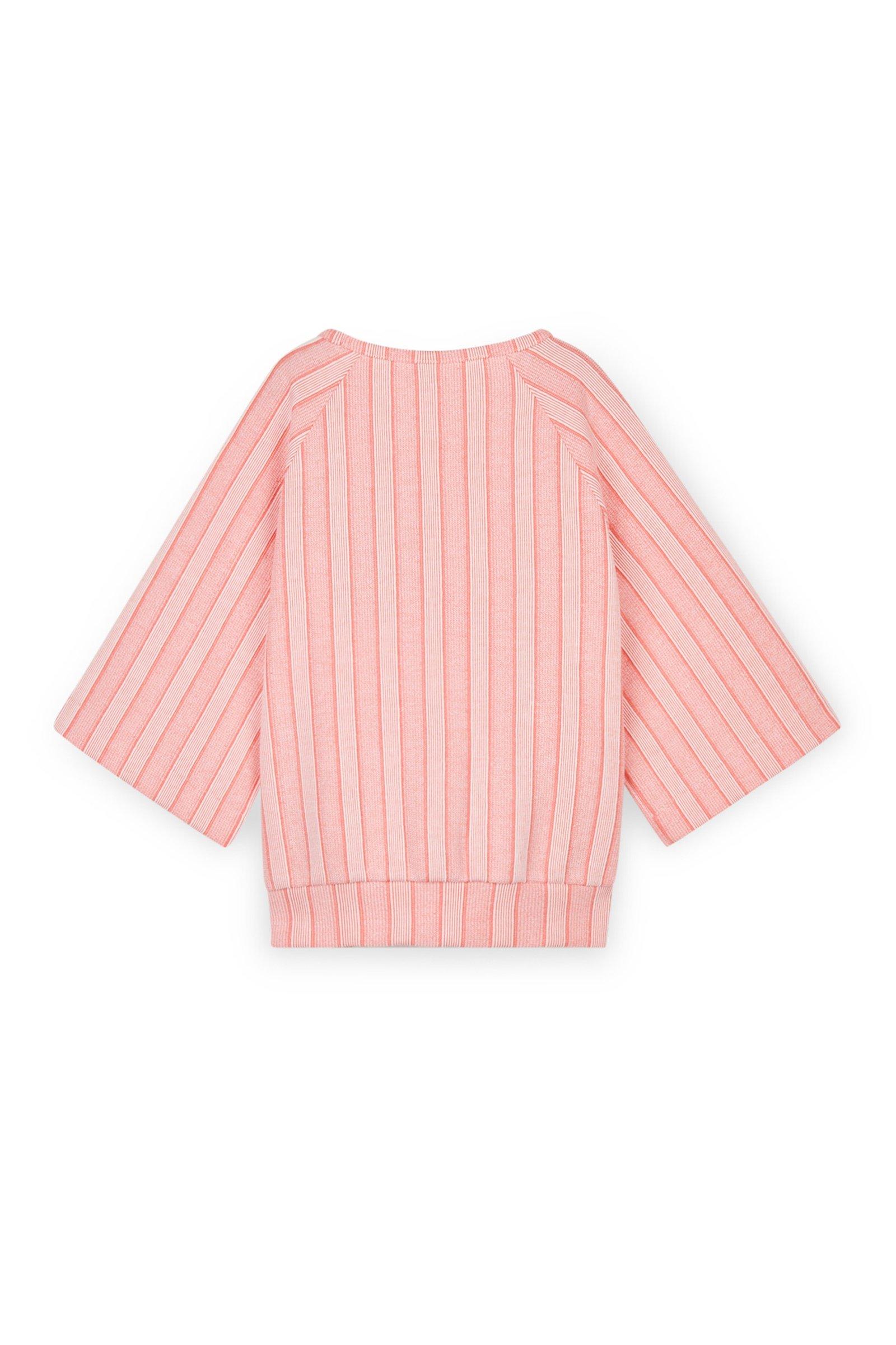CKS Kids - WIST - Pullover - Mehrfarbig
