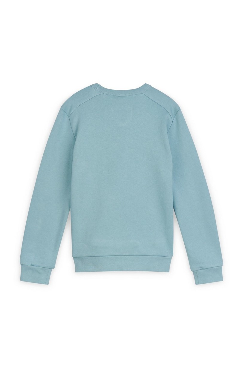 CKS Kids - BAREND - sweater - lichtgroen