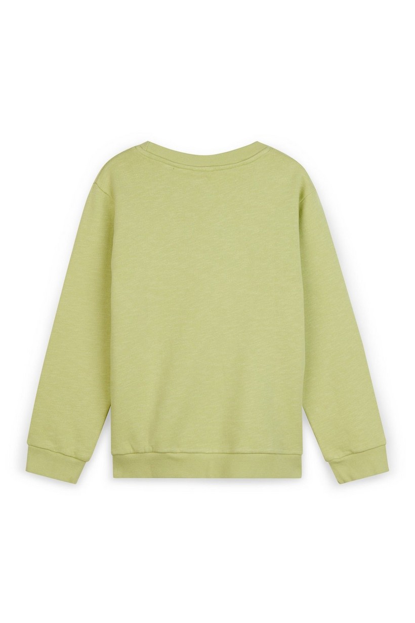 CKS Kids - BERNIELS - sweater - green