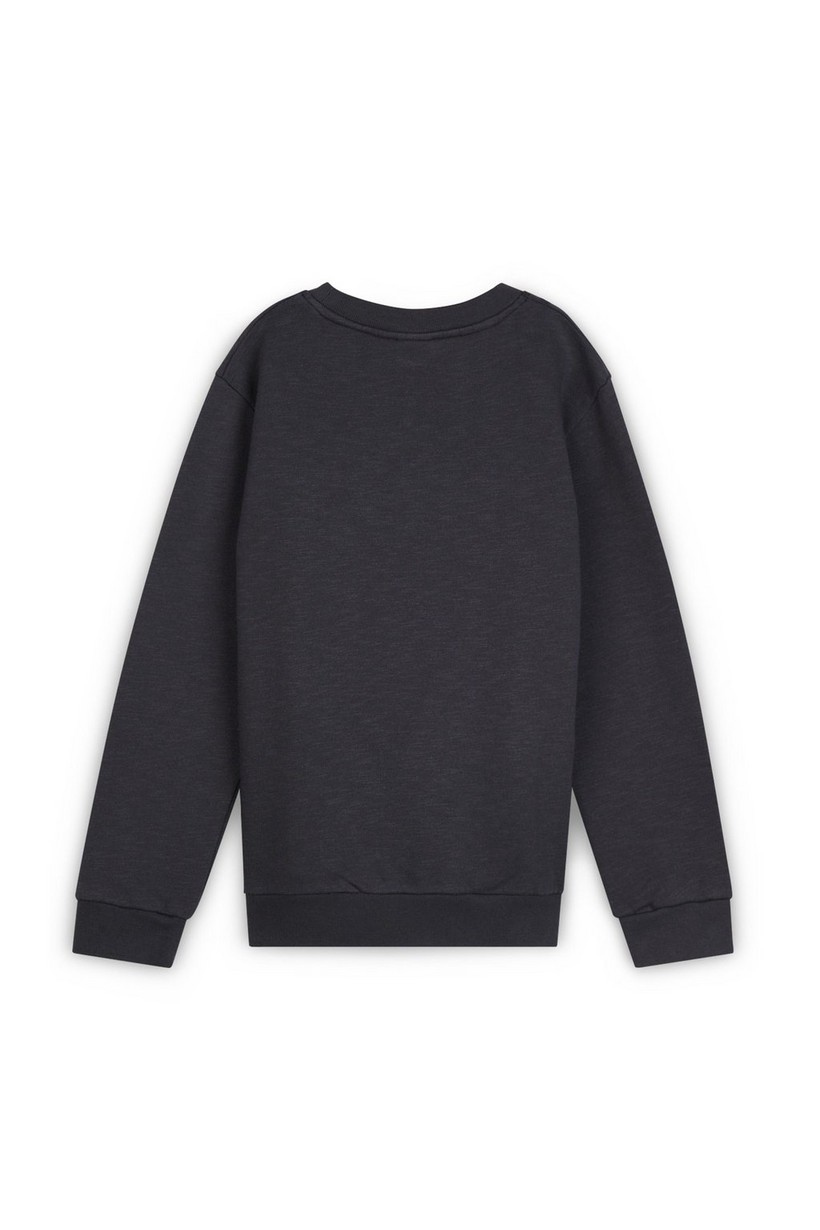 CKS Kids - BAYLEN - sweater - meerkleurig
