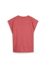 CKS Dames - PAMINA - t-shirt short sleeves - multicolor