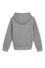 CKS Kids - CIAOJR - sweater met capuchon - meerkleurig