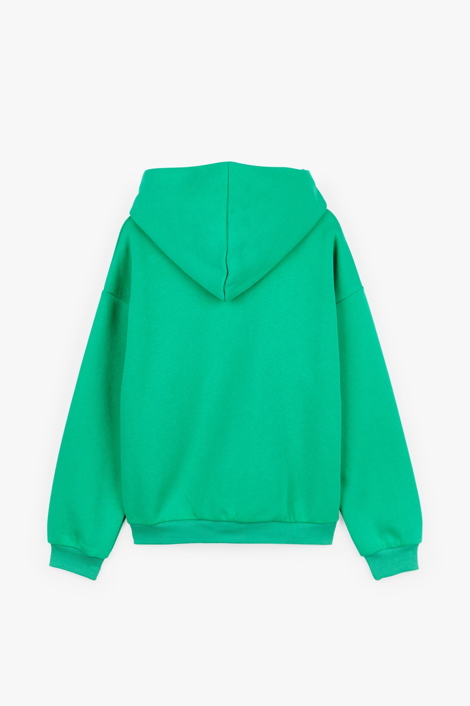 CKS Teens - PUNCH - hoodie - green