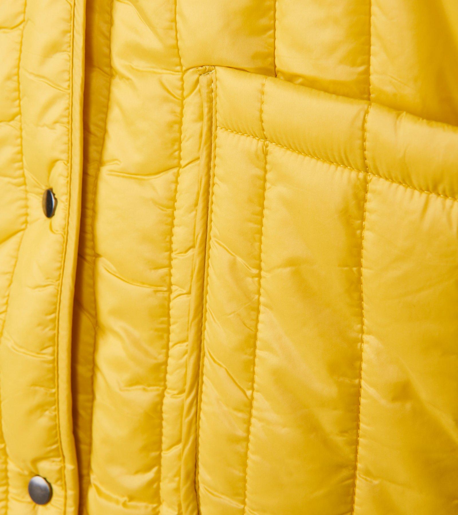 CKS Dames - HISBETH - short coat - yellow