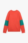 CKS Kids - BERNIELS - sweater - terracotta
