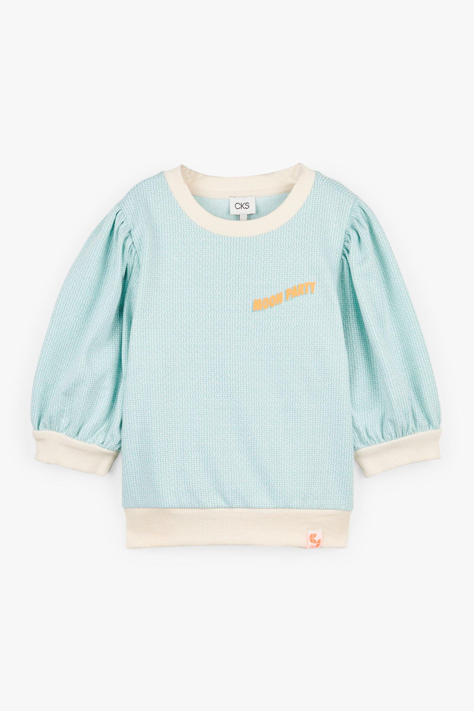 CKS Kids - EFFIEN - Pullover - Grün