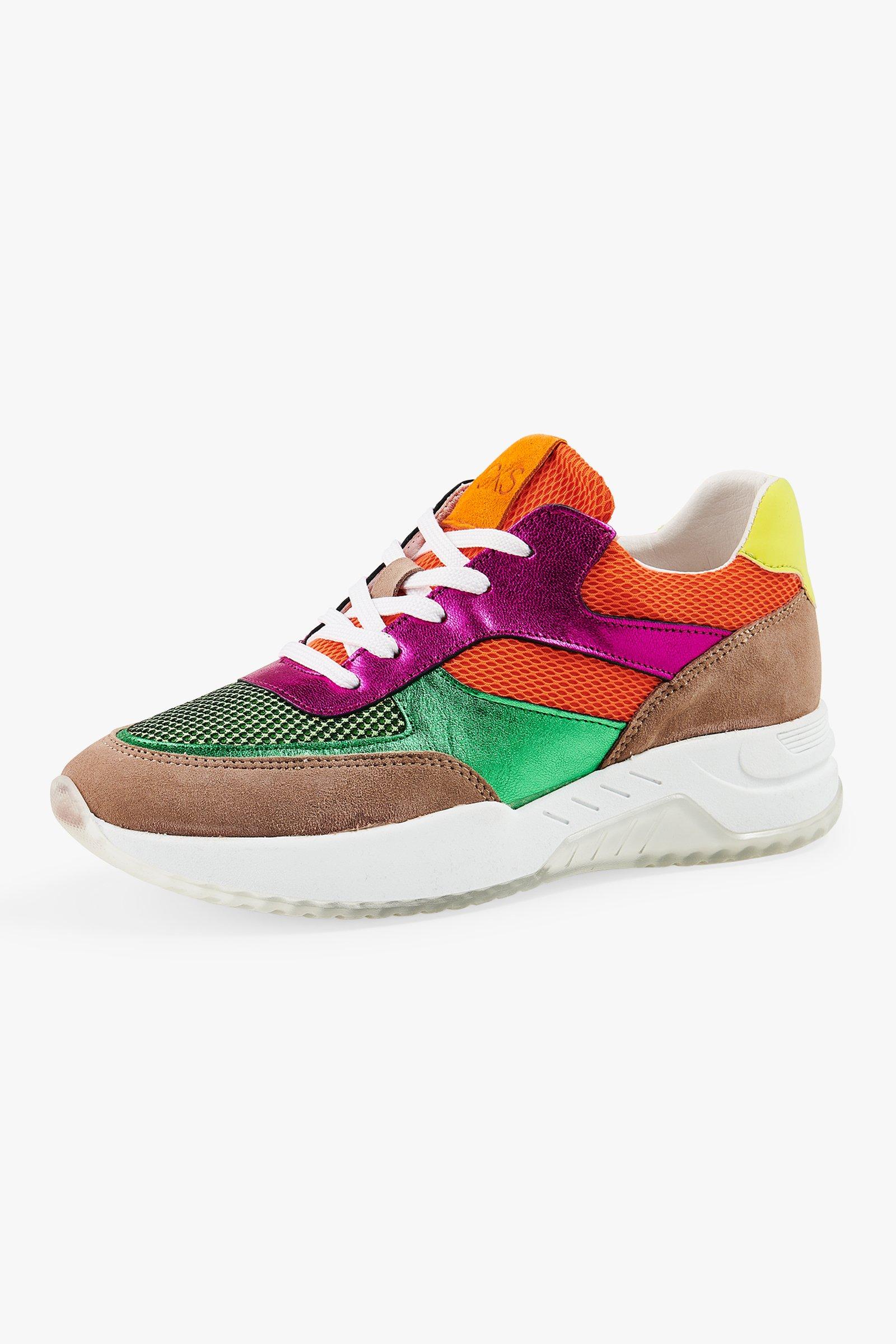 multicolore