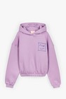 CKS Teens - JUICE - sweatshirt à capuche - violet