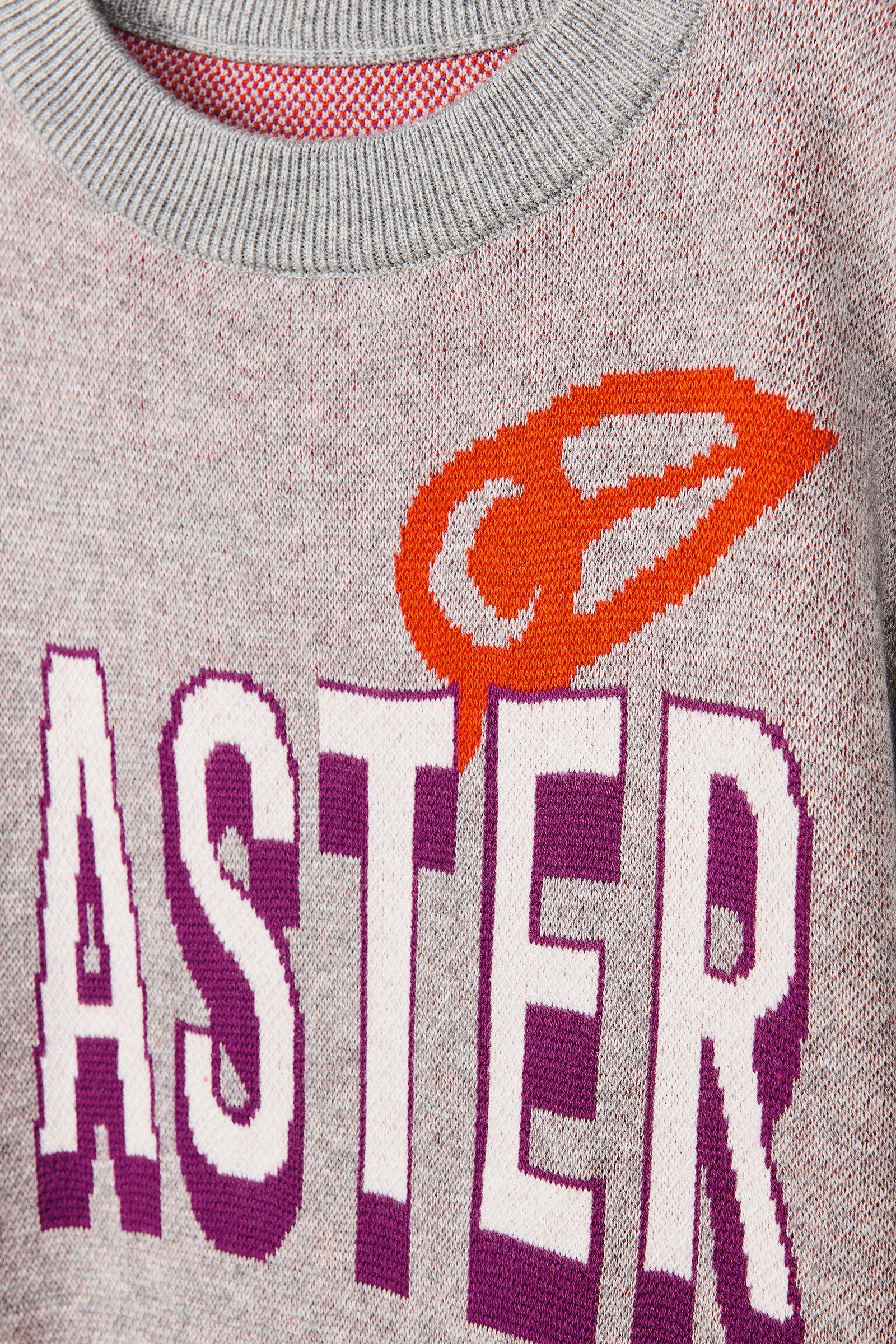 CKS Kids - GARDEN - pullover - grey