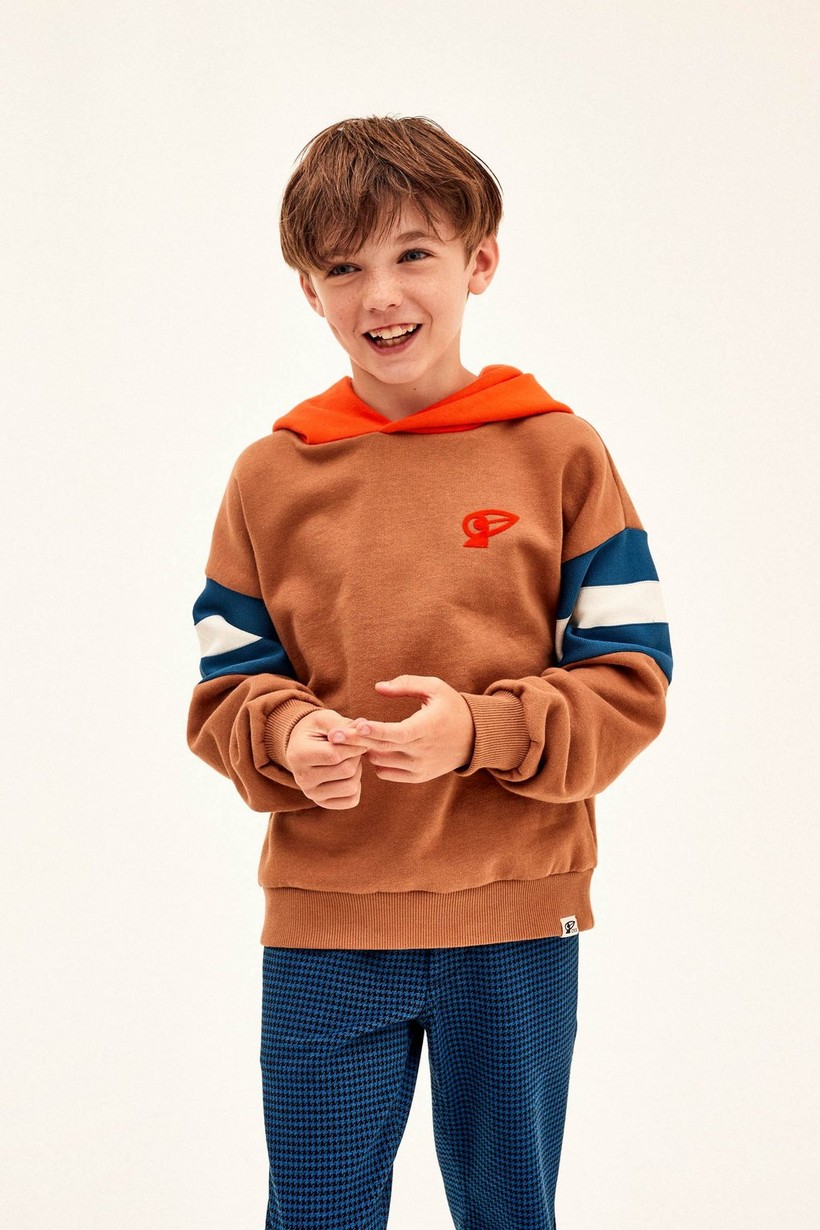 CKS Kids - DRIVE - sweater met capuchon - bruin