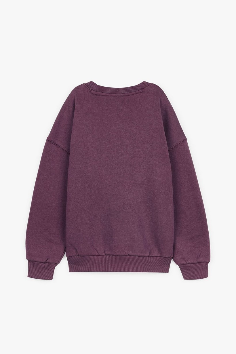 CKS Kids - DRAW - sweater - purple