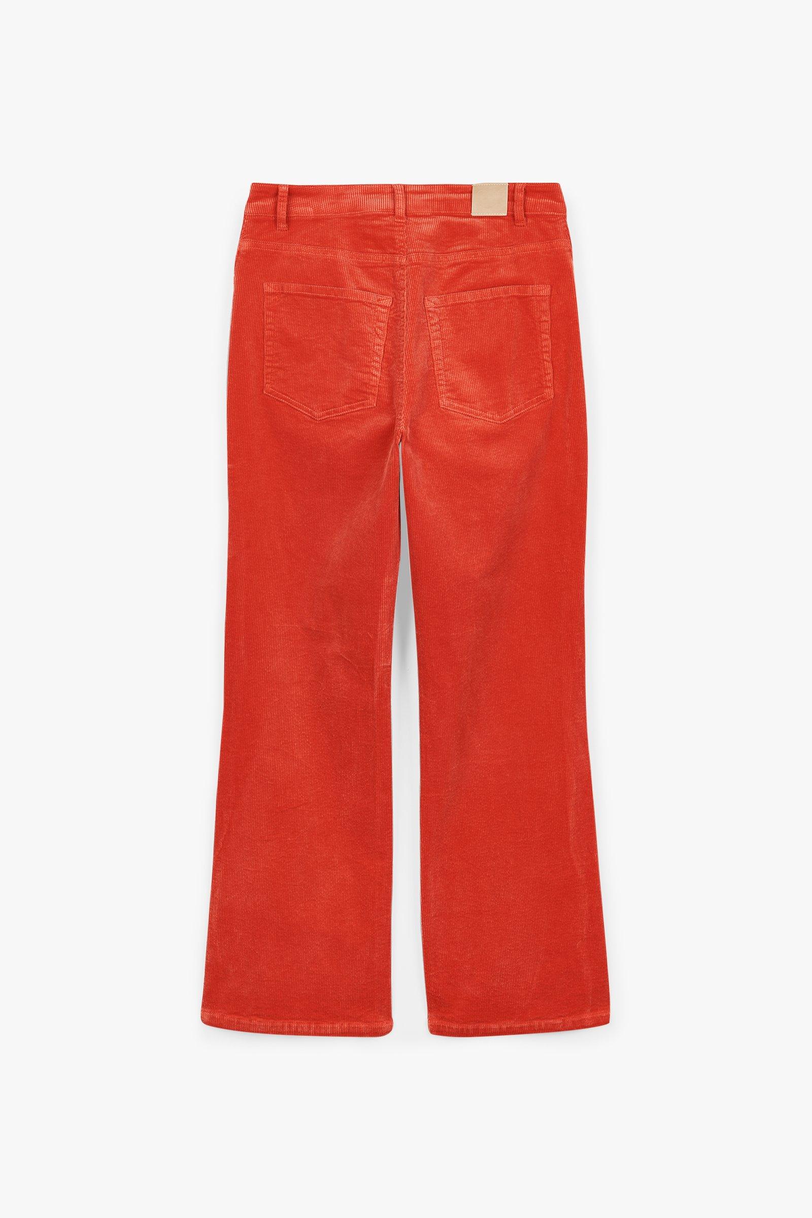 CKS Teens - GLIMMERFLARE - Lange Hose - Orange