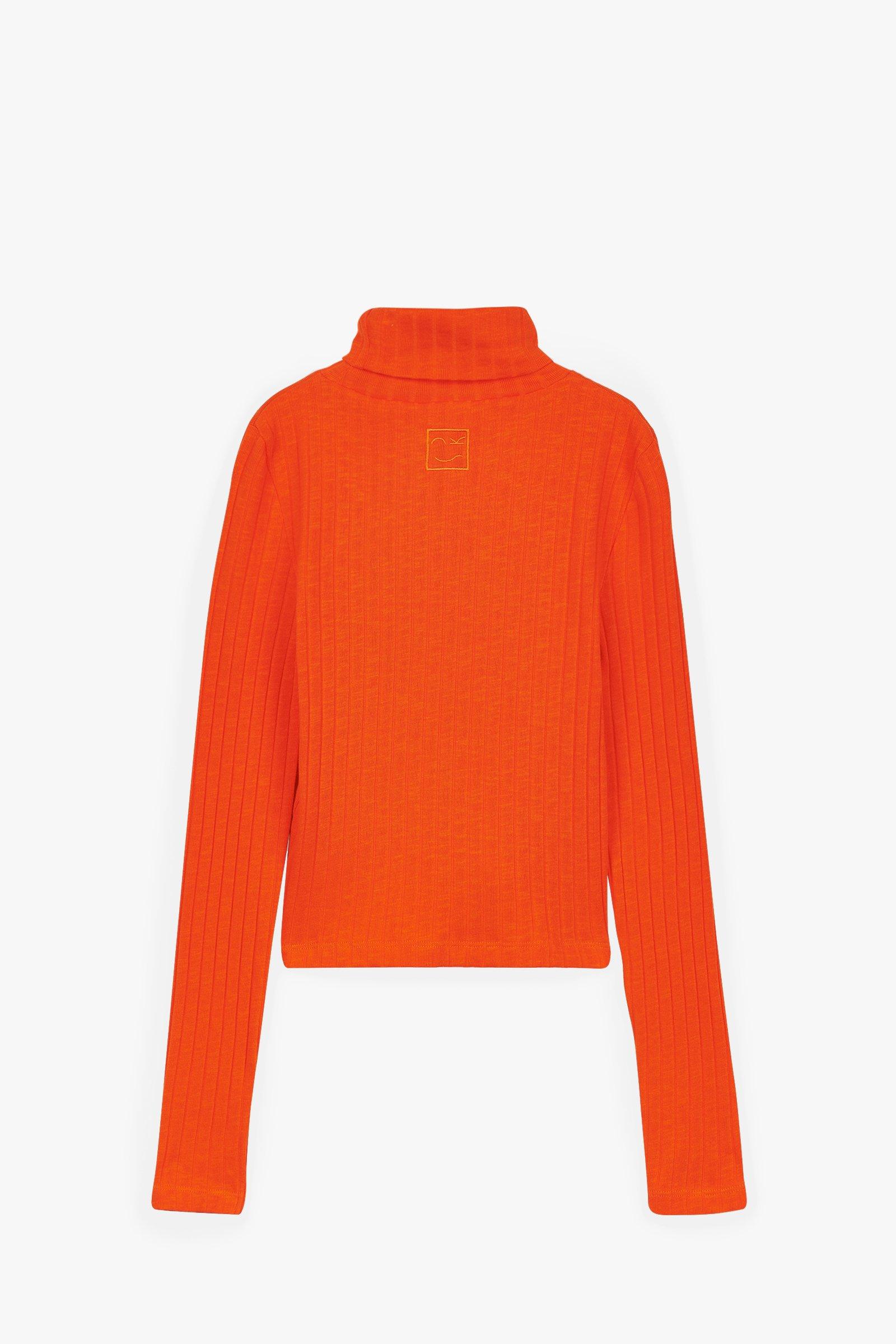 CKS Teens - DISCY - turtleneck - oranje