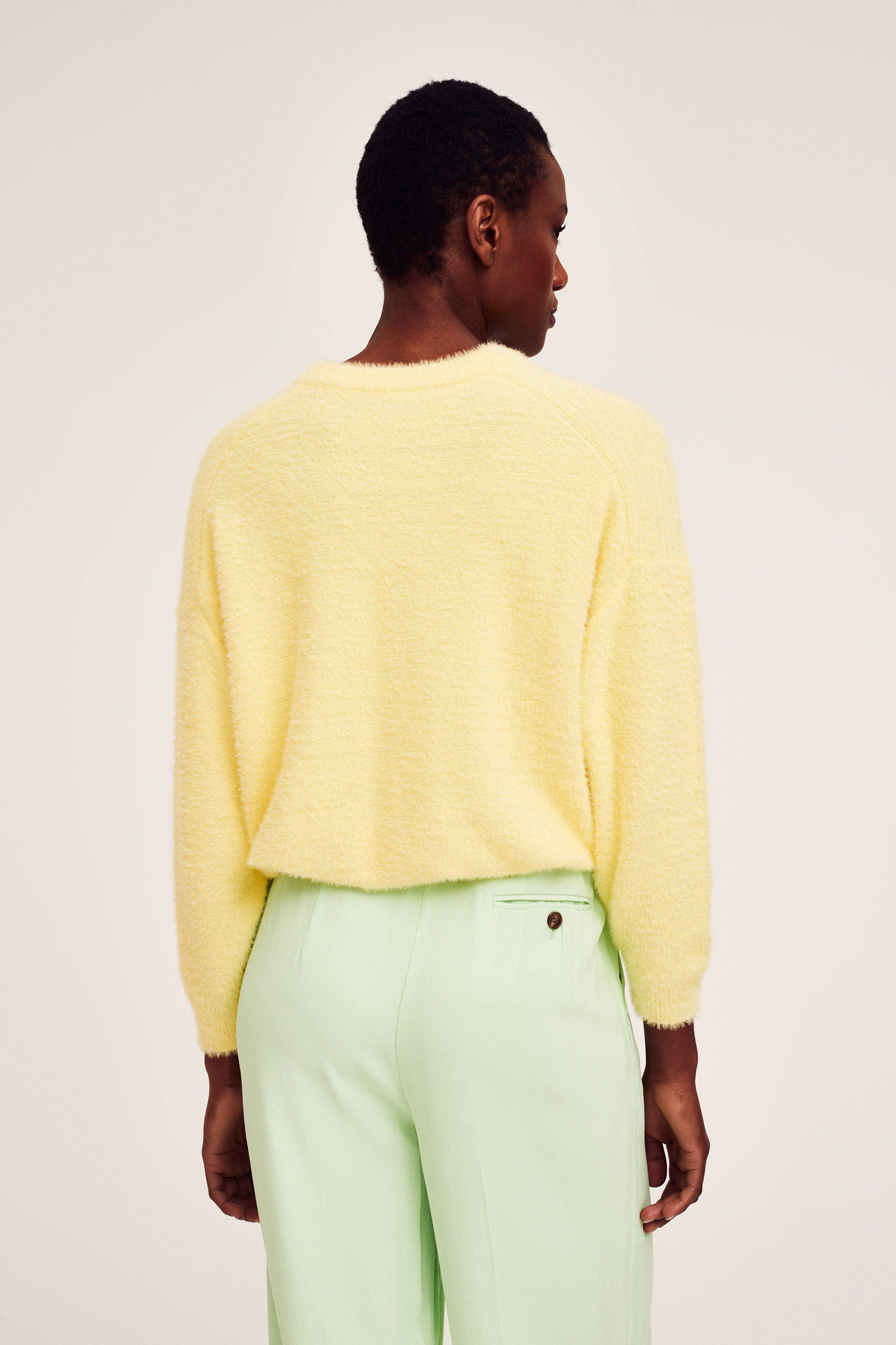 CKS Dames - PONTIAC - pullover - light yellow