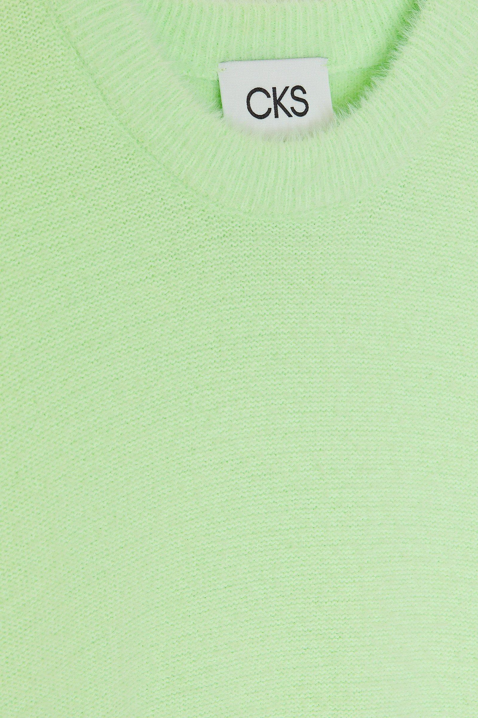CKS Dames - PONTIAC - pullover - light green