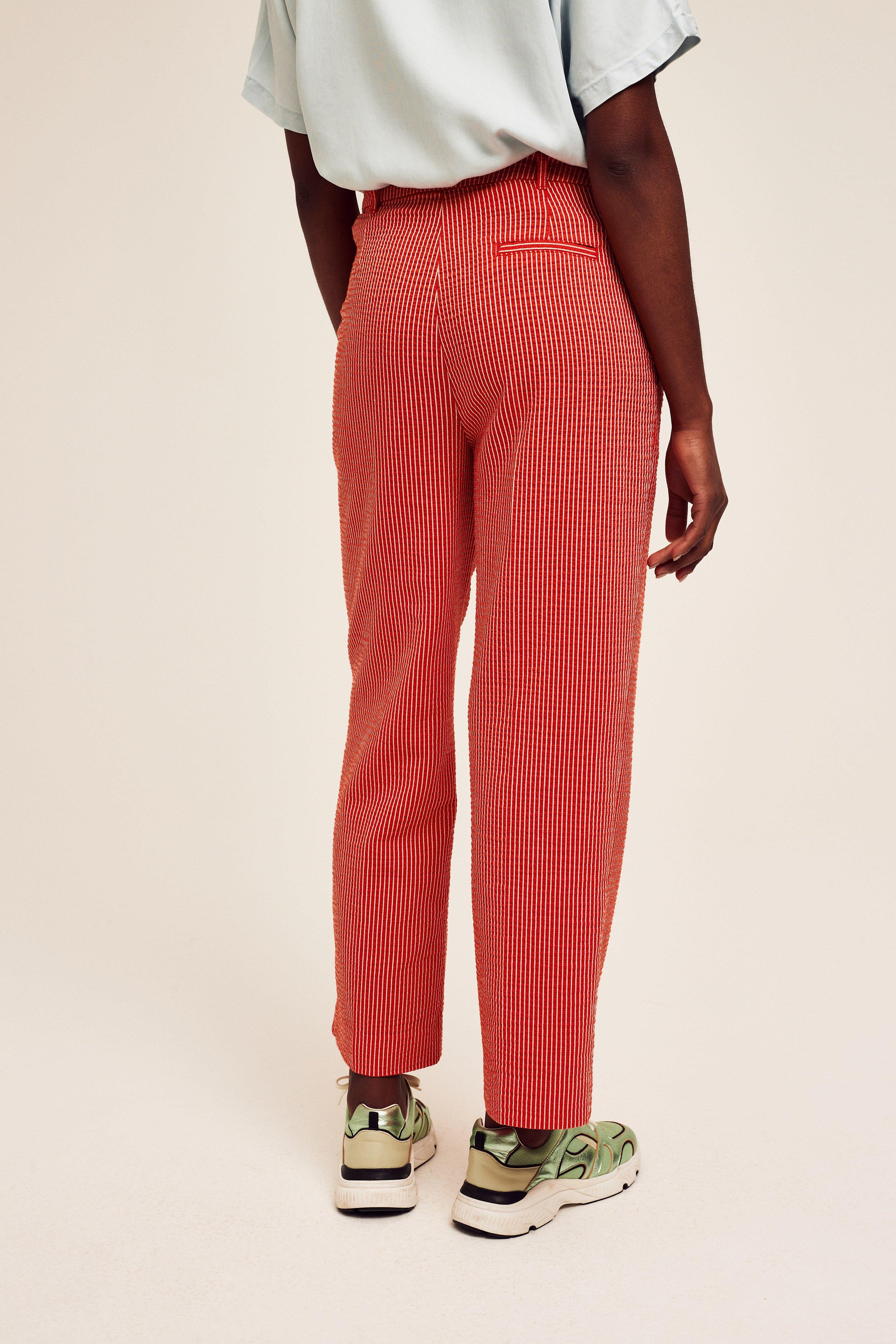 CKS Dames - TONKS - ankle trousers - dark red