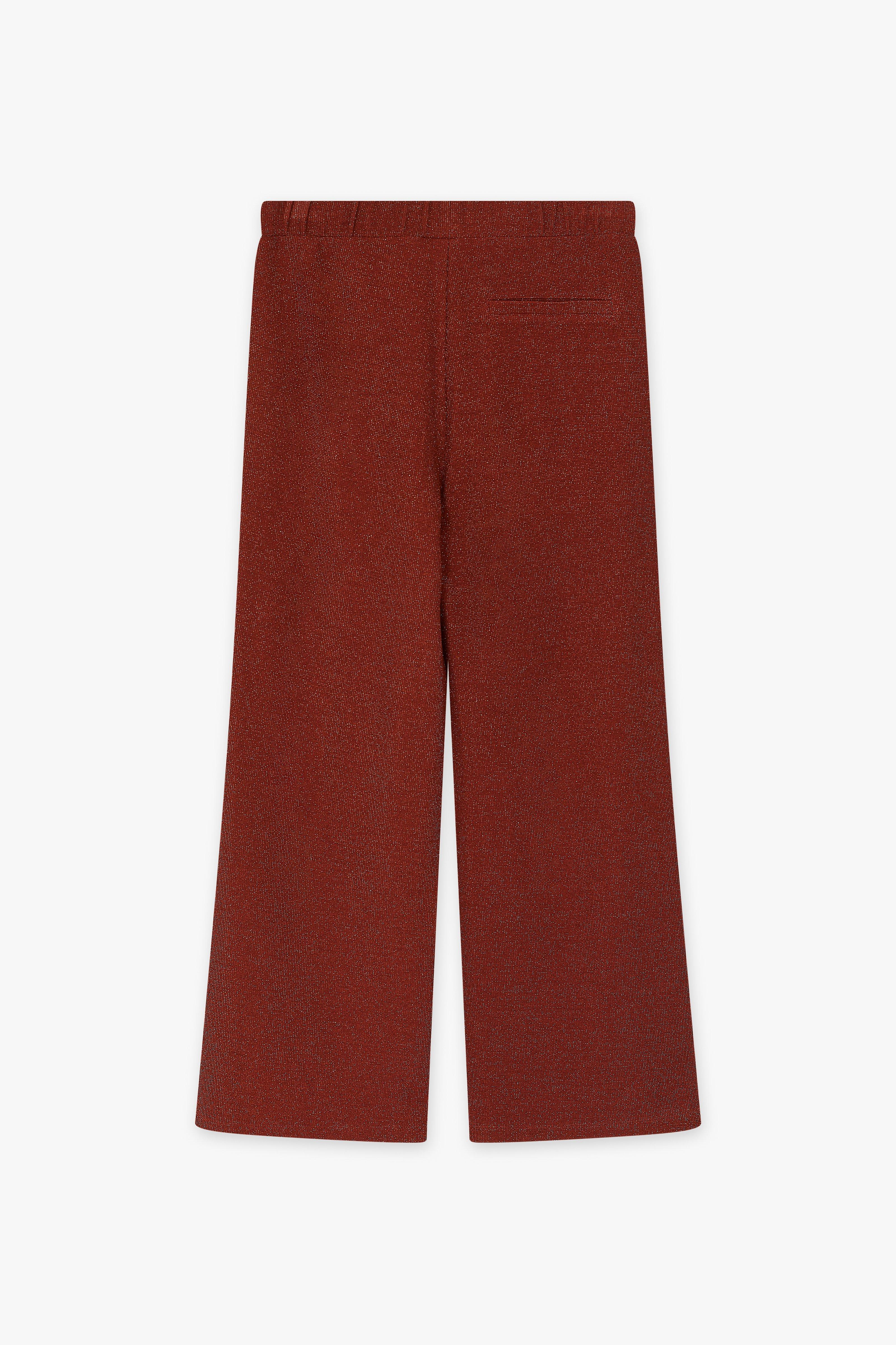 CKS Dames - THEAWIDE - pantalon long - brun