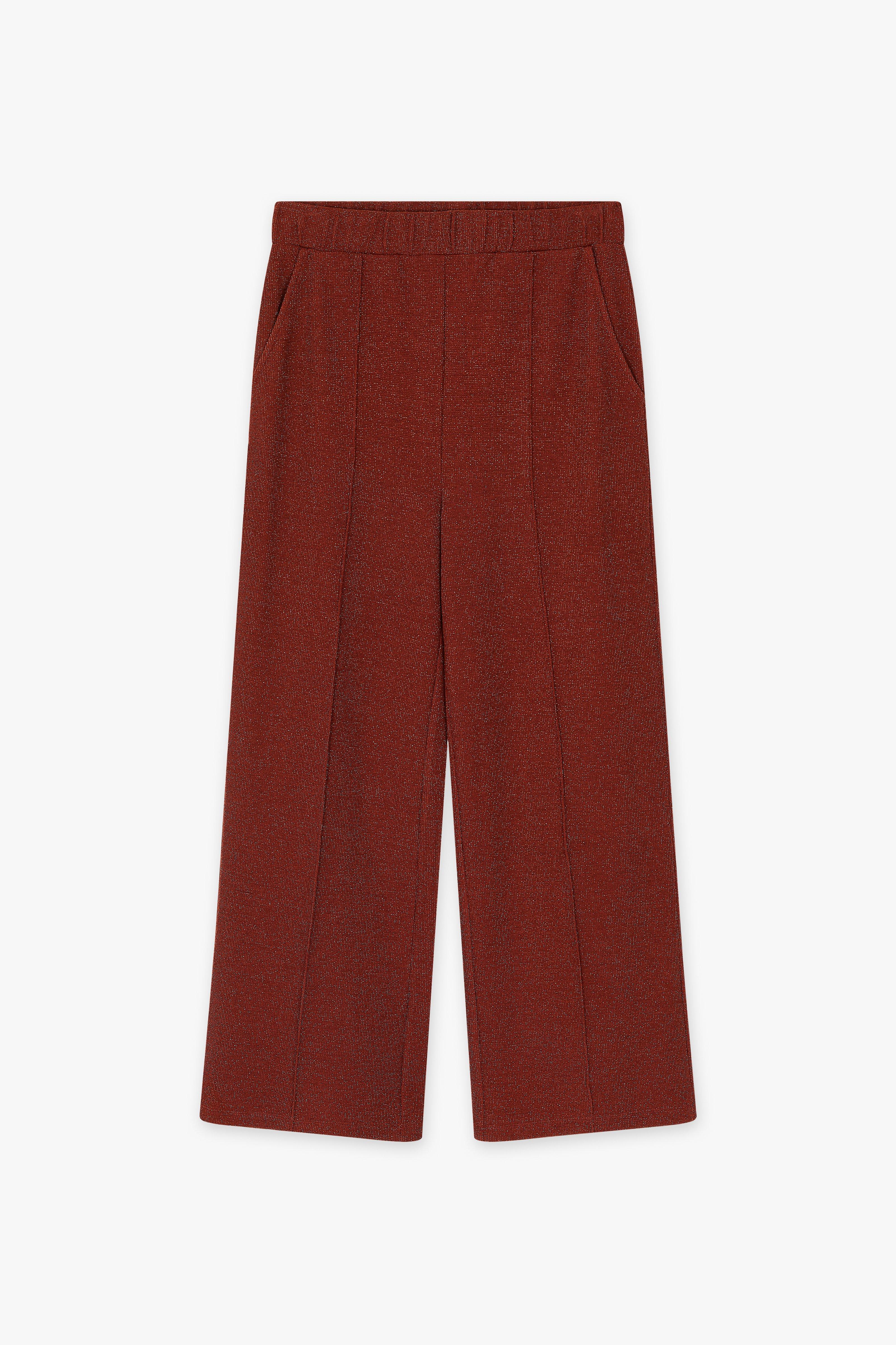CKS Dames - THEAWIDE - pantalon long - brun