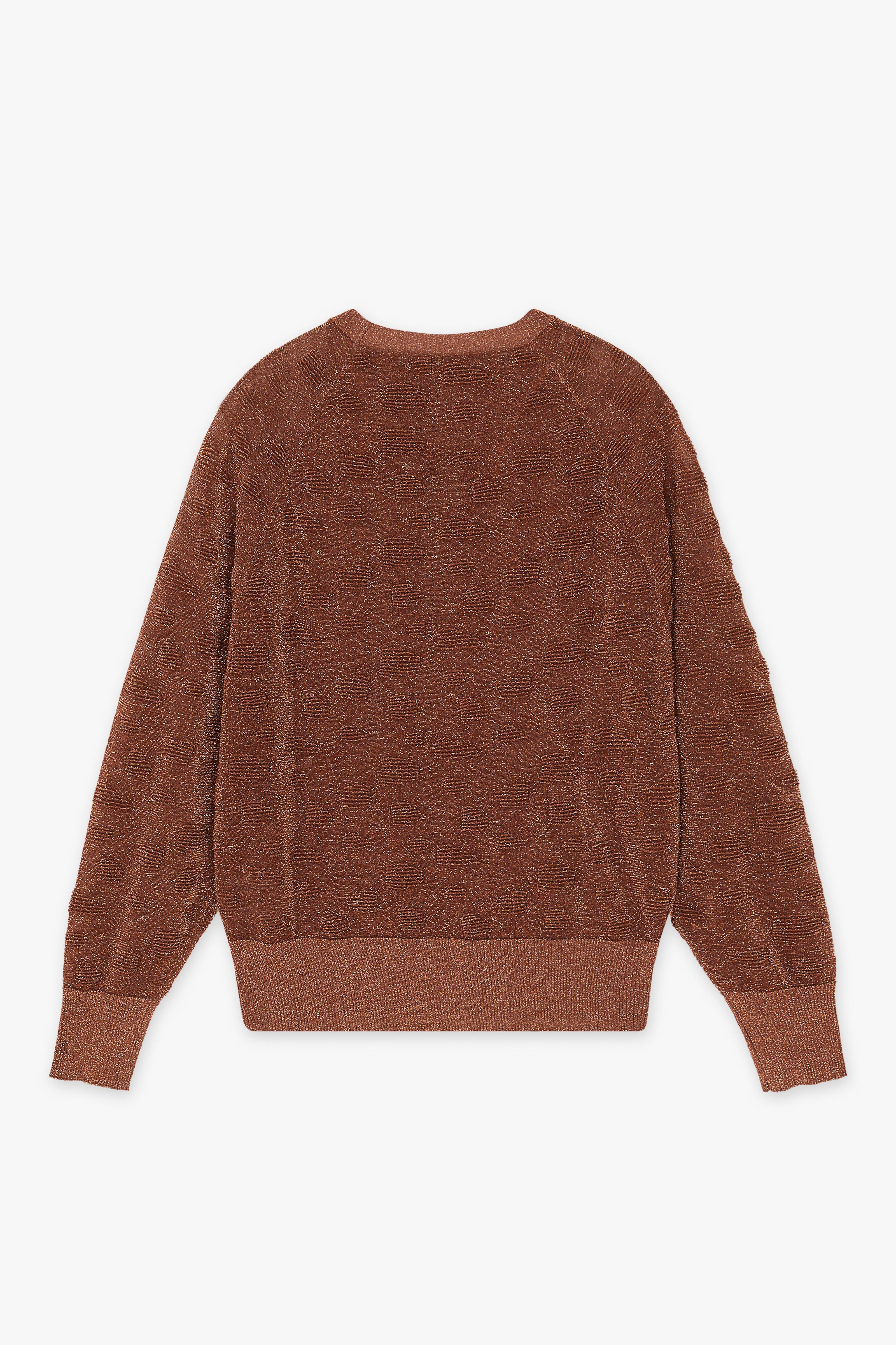 CKS Dames - PETROL - Pullover - Braun