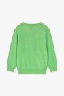 CKS Dames - PINAFLORE - pullover - bright green