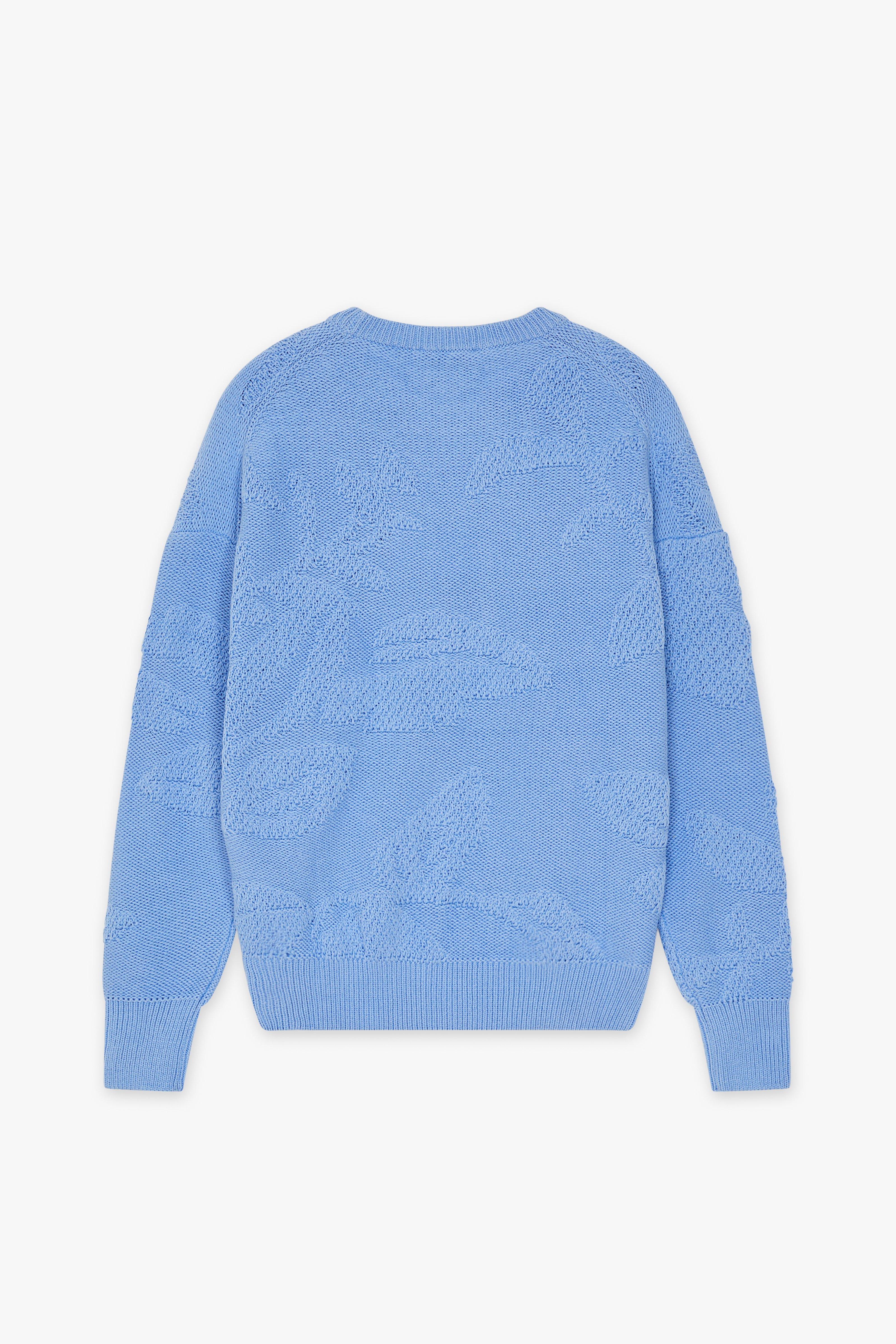 CKS Dames - PEARS - Pullover - Hellblau