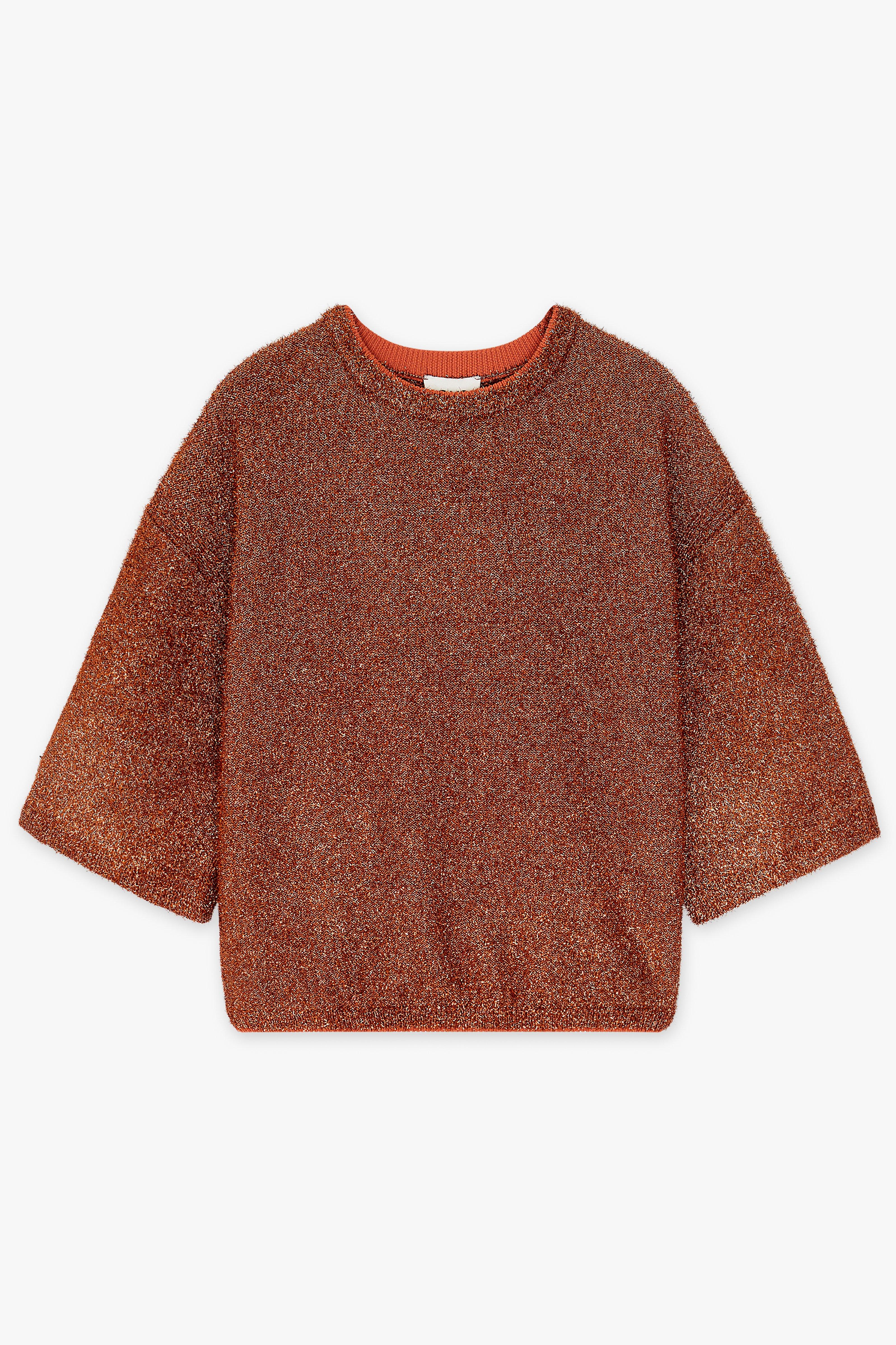 CKS Dames - PURITANIA - pullover - brown