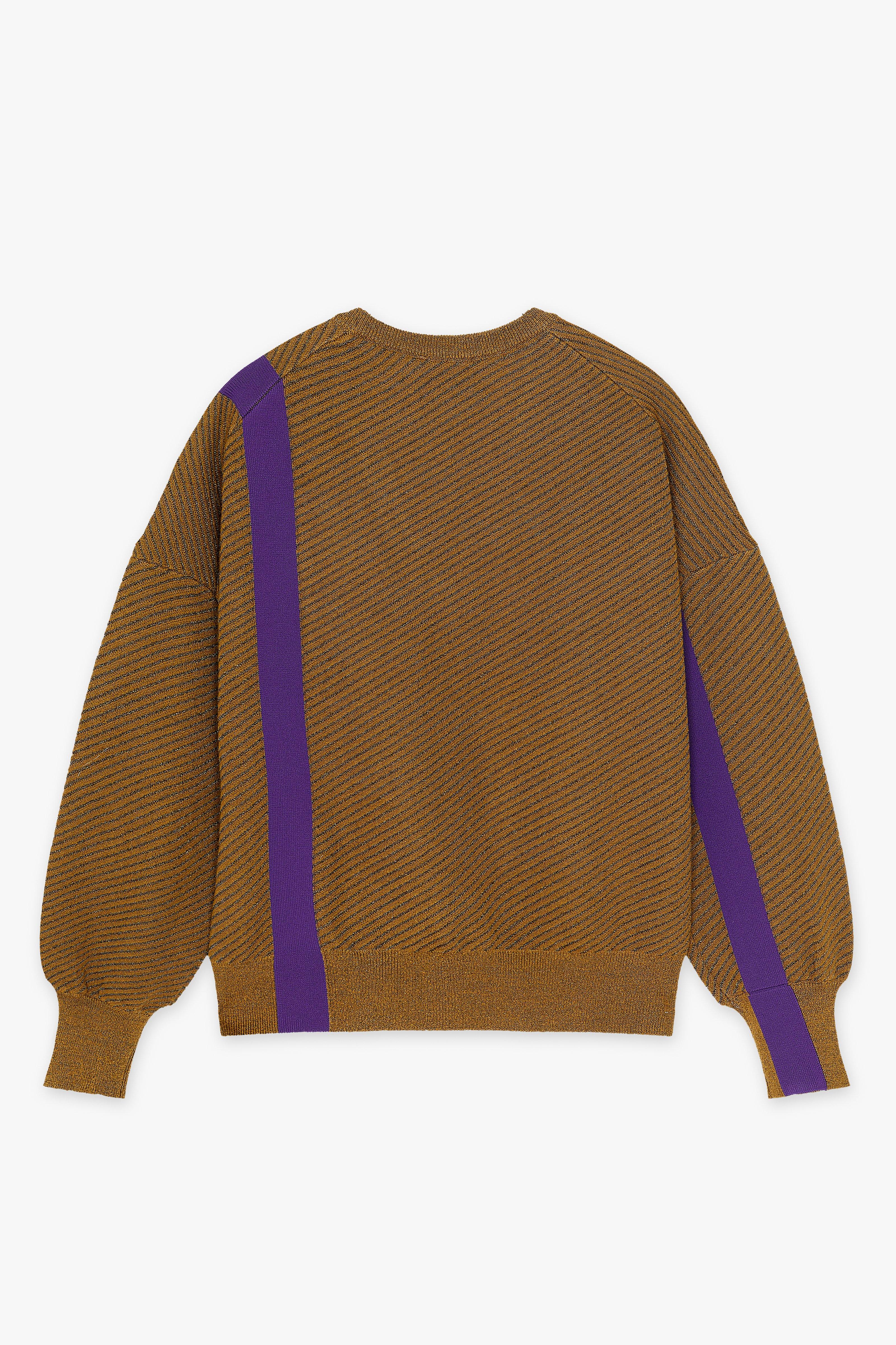 CKS Dames - POLISHER - pullover - dark brown