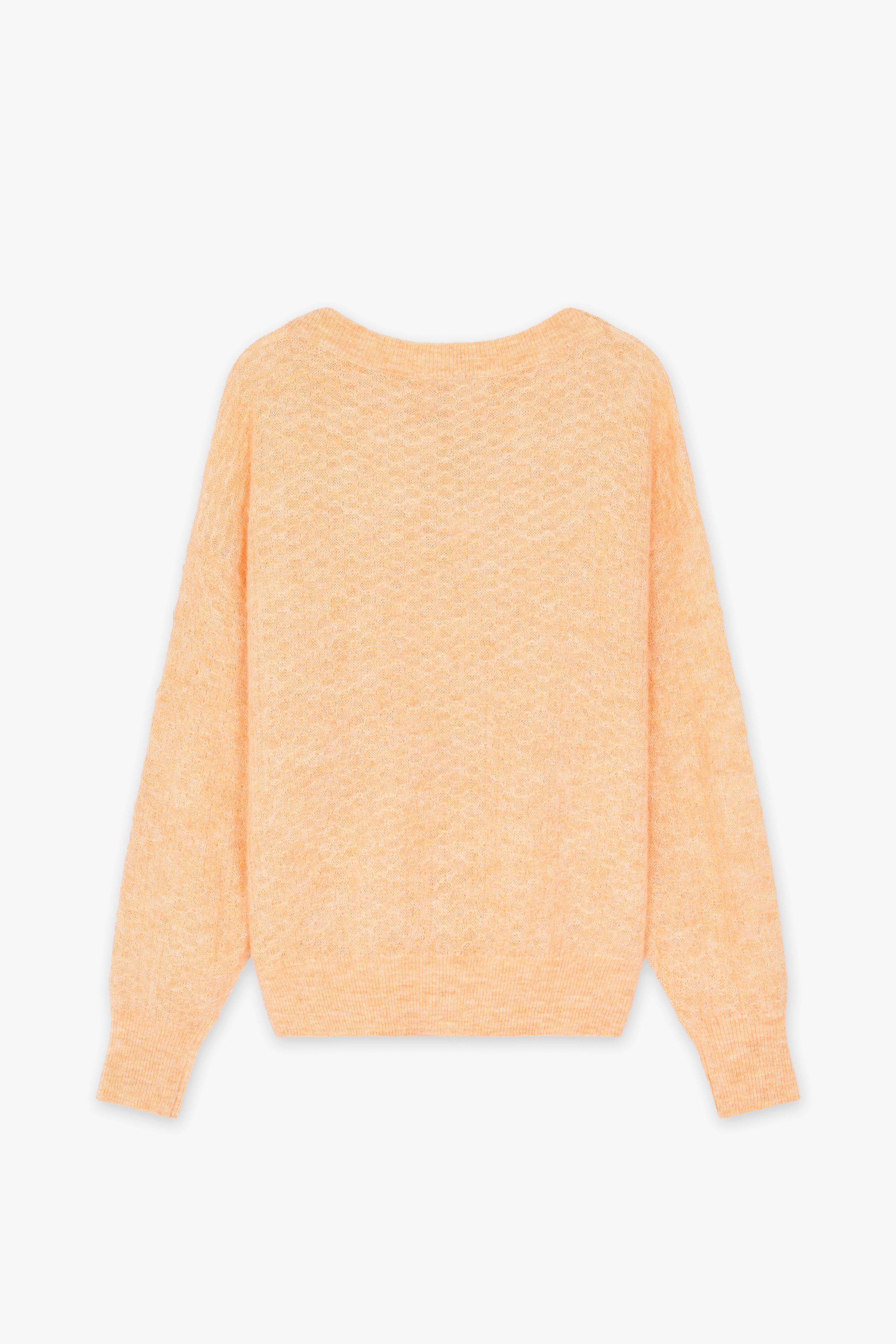 CKS - POSH - trui - feloranje
