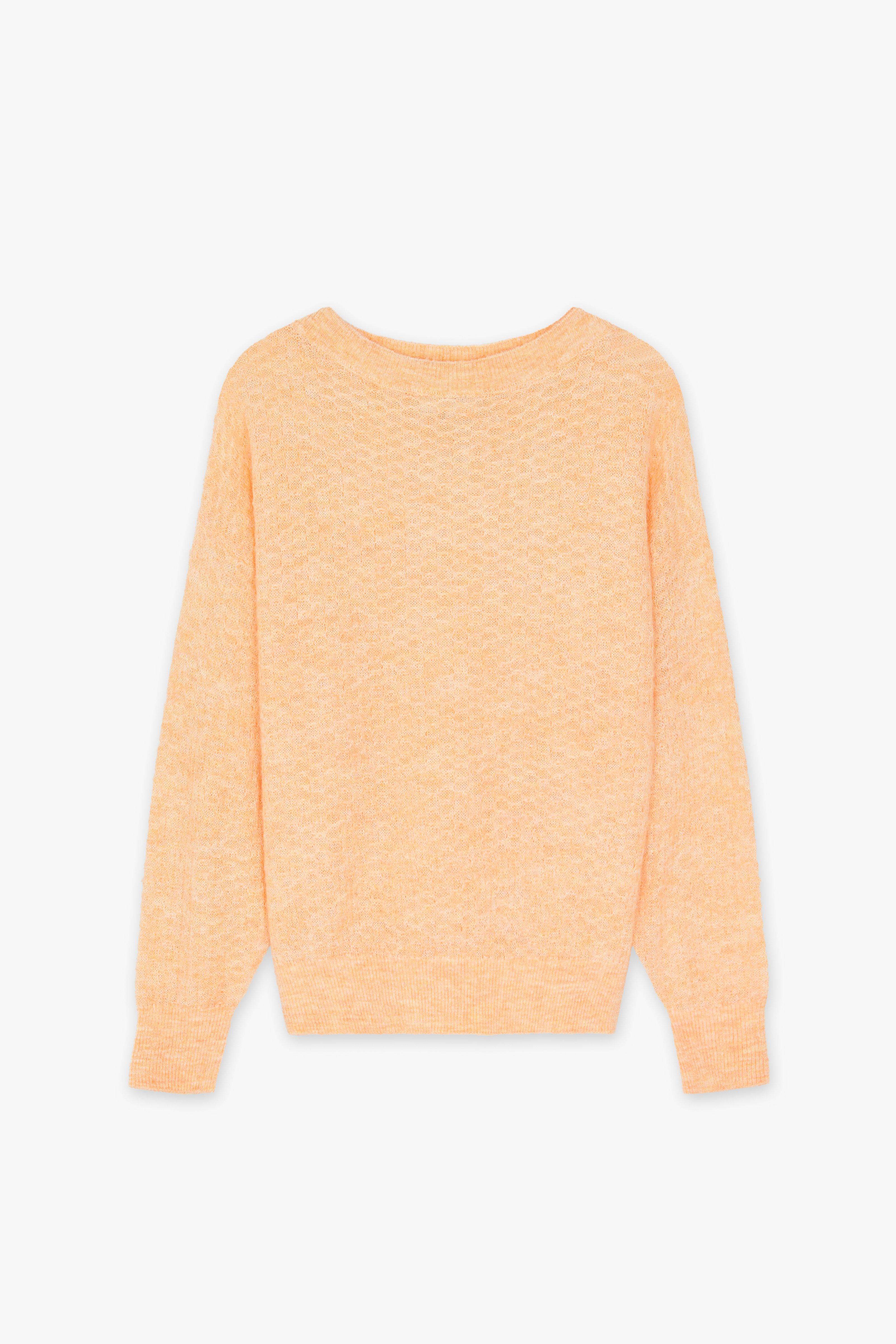 CKS - POSH - trui - feloranje
