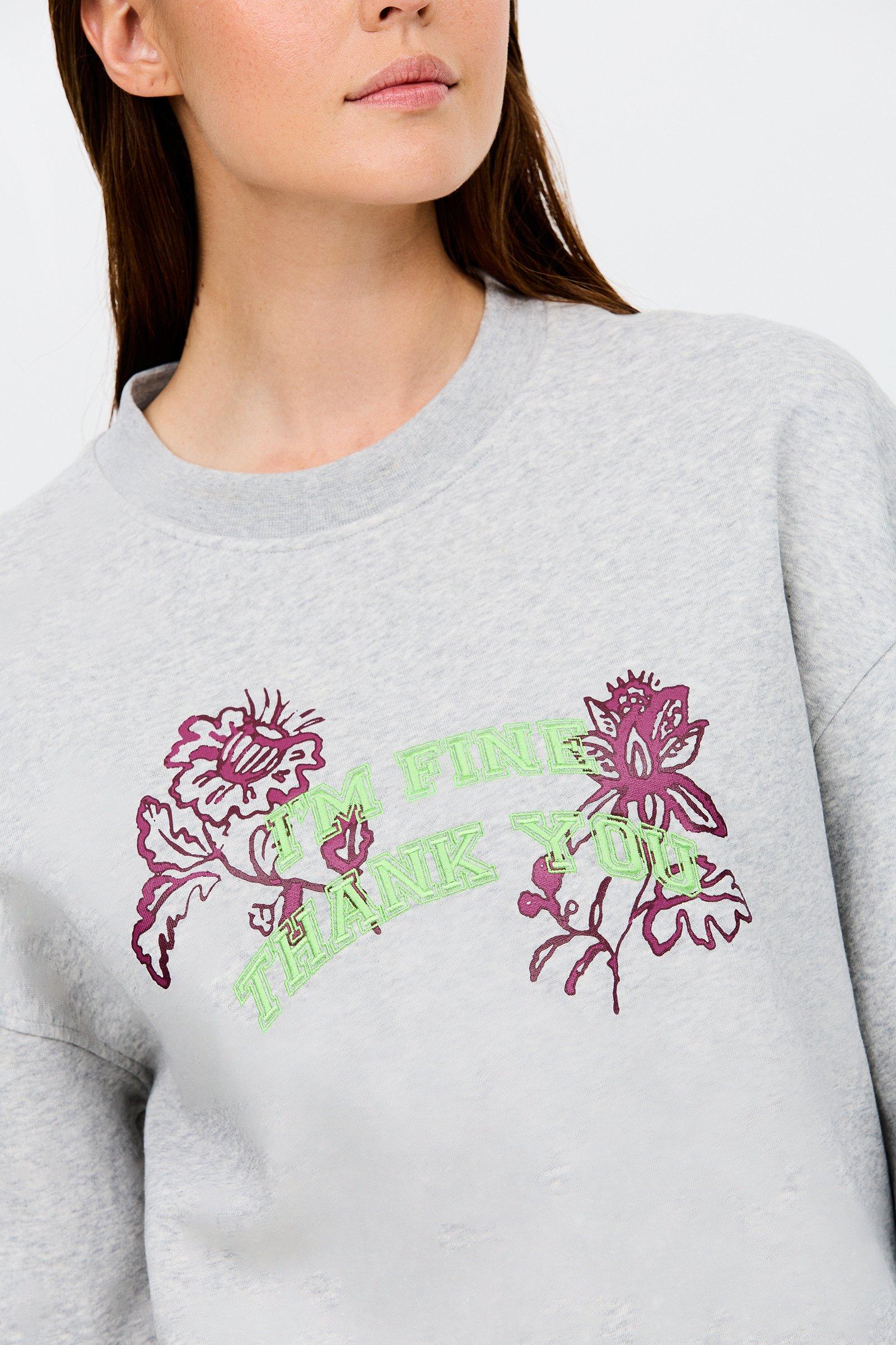 CKS - SWAN - Pullover - Grau