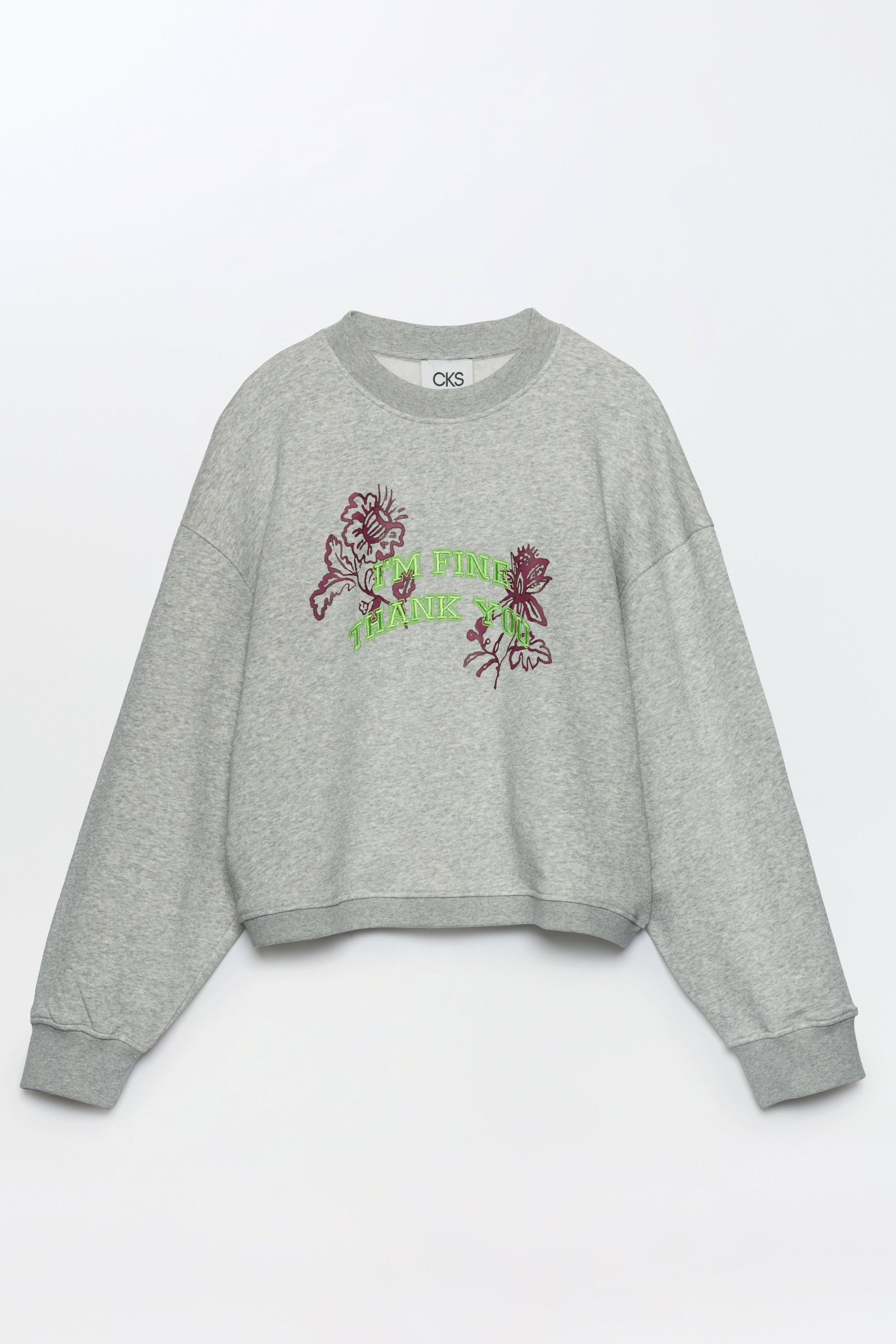 CKS - SWAN - sweater - grijs