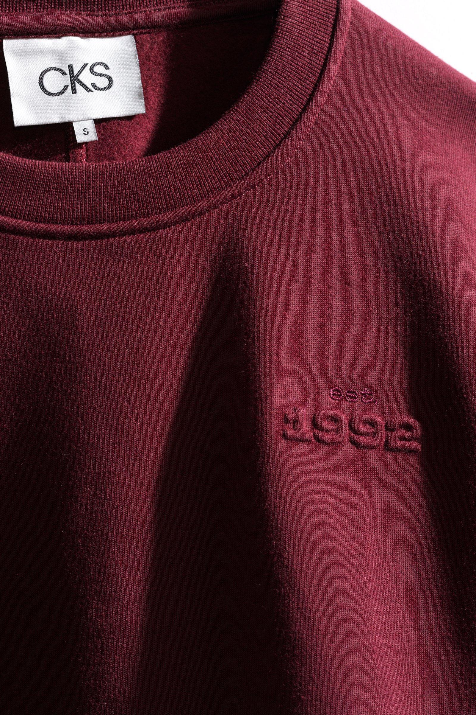 CKS - SWAN - Pullover - Violett
