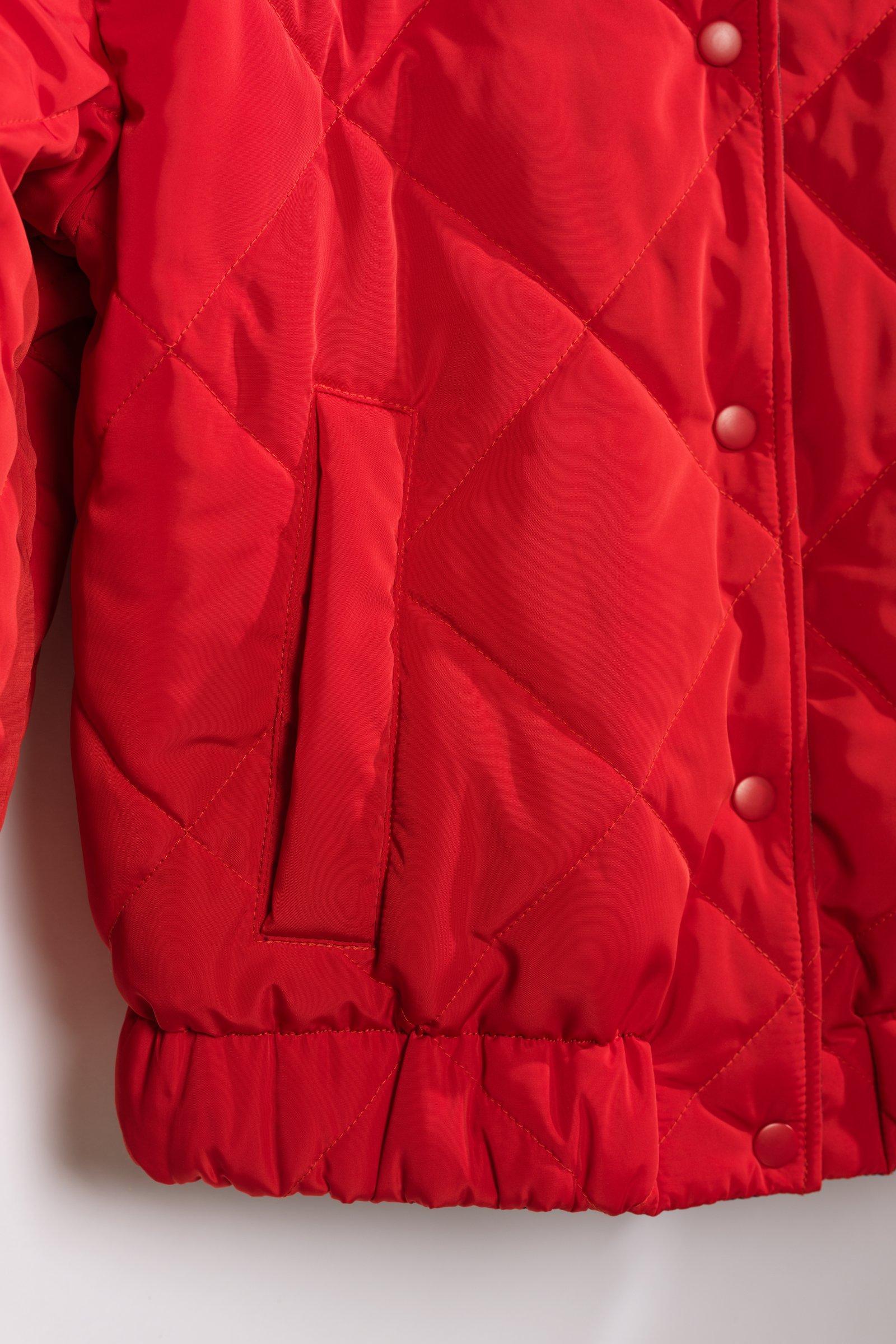 CKS - COLDE - short coat - burgundy