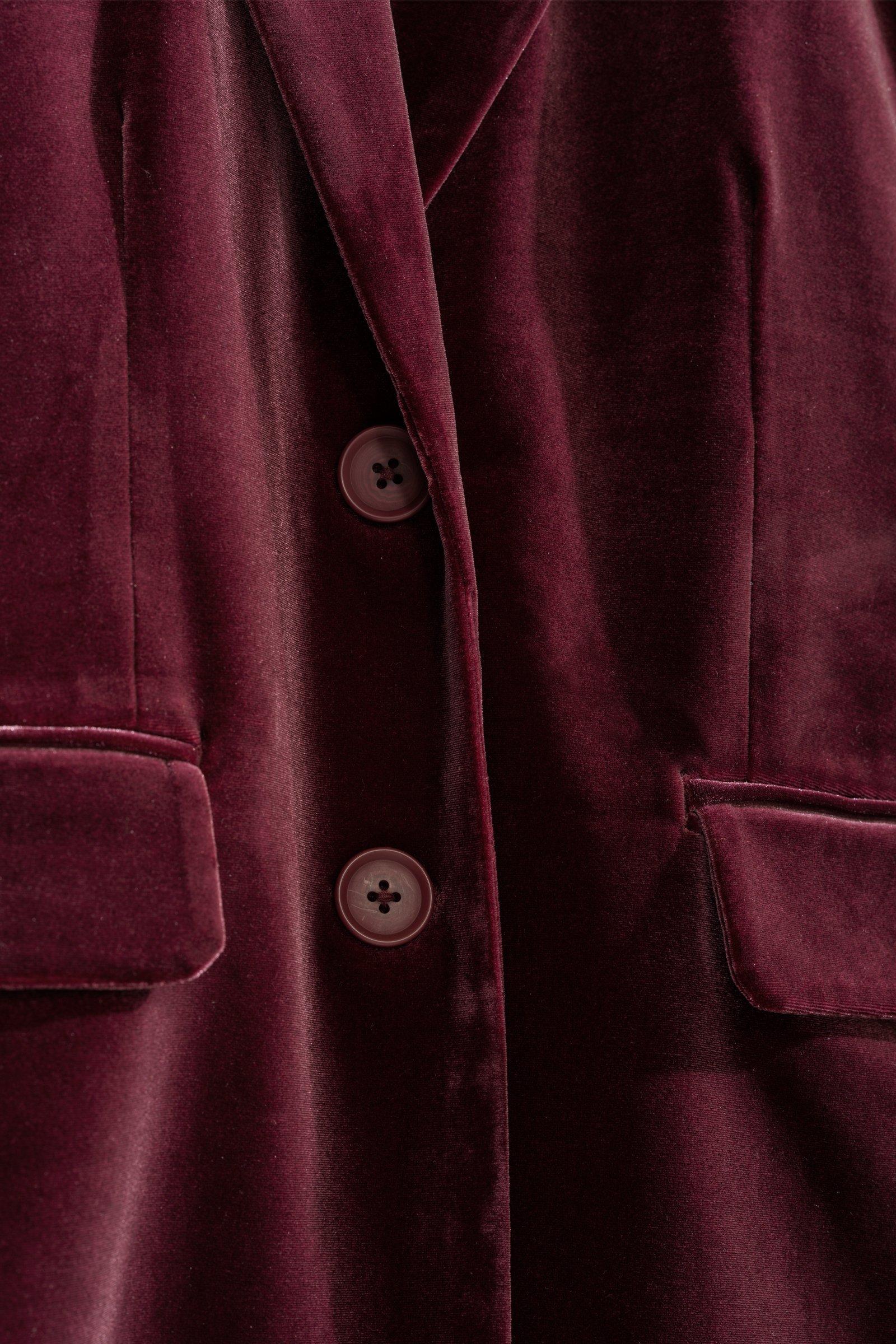 CKS - CLAZER - blazer - Dunkelrot