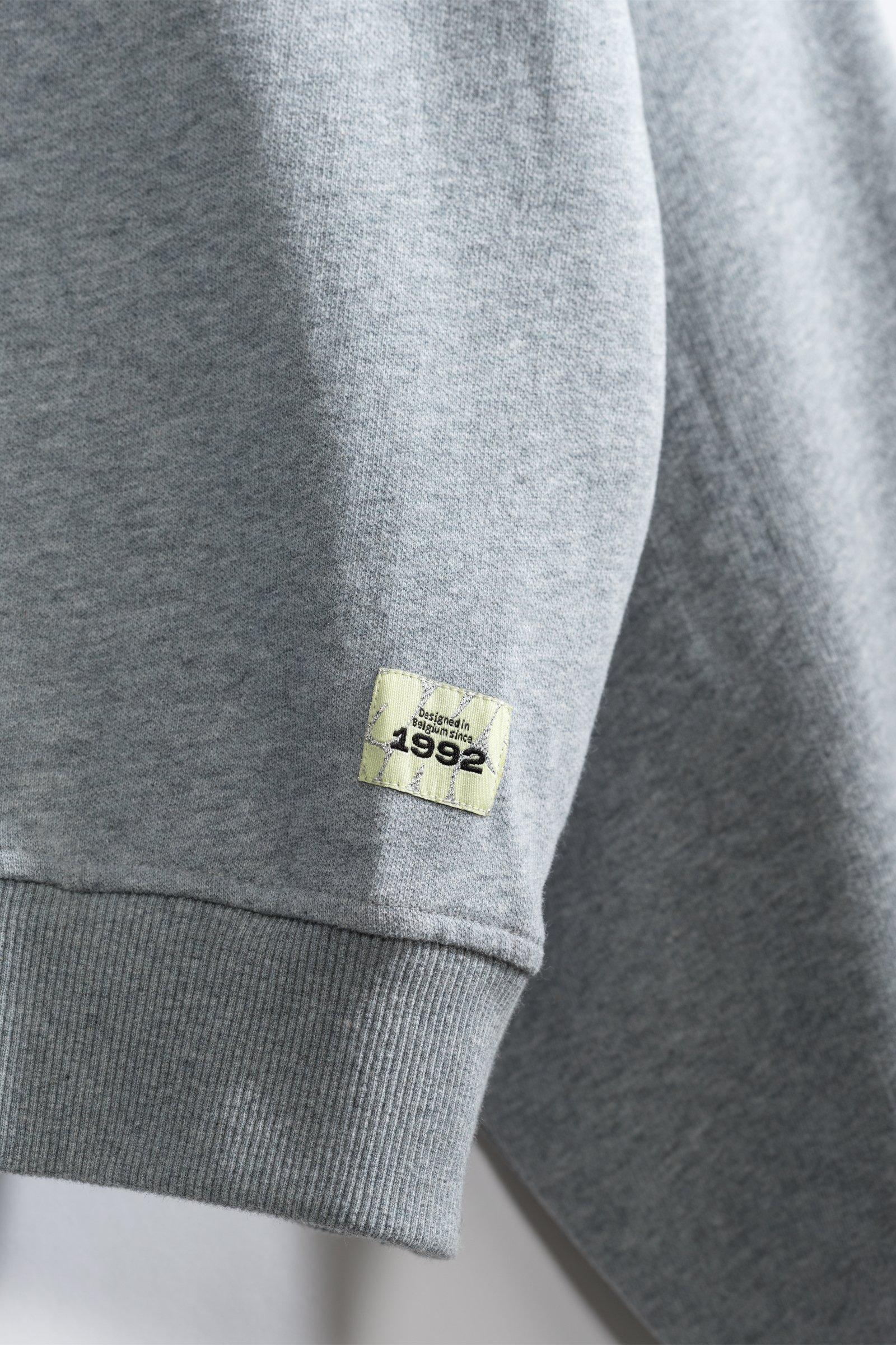 CKS - SWOODA - sweatshirt à capuche - gris clair