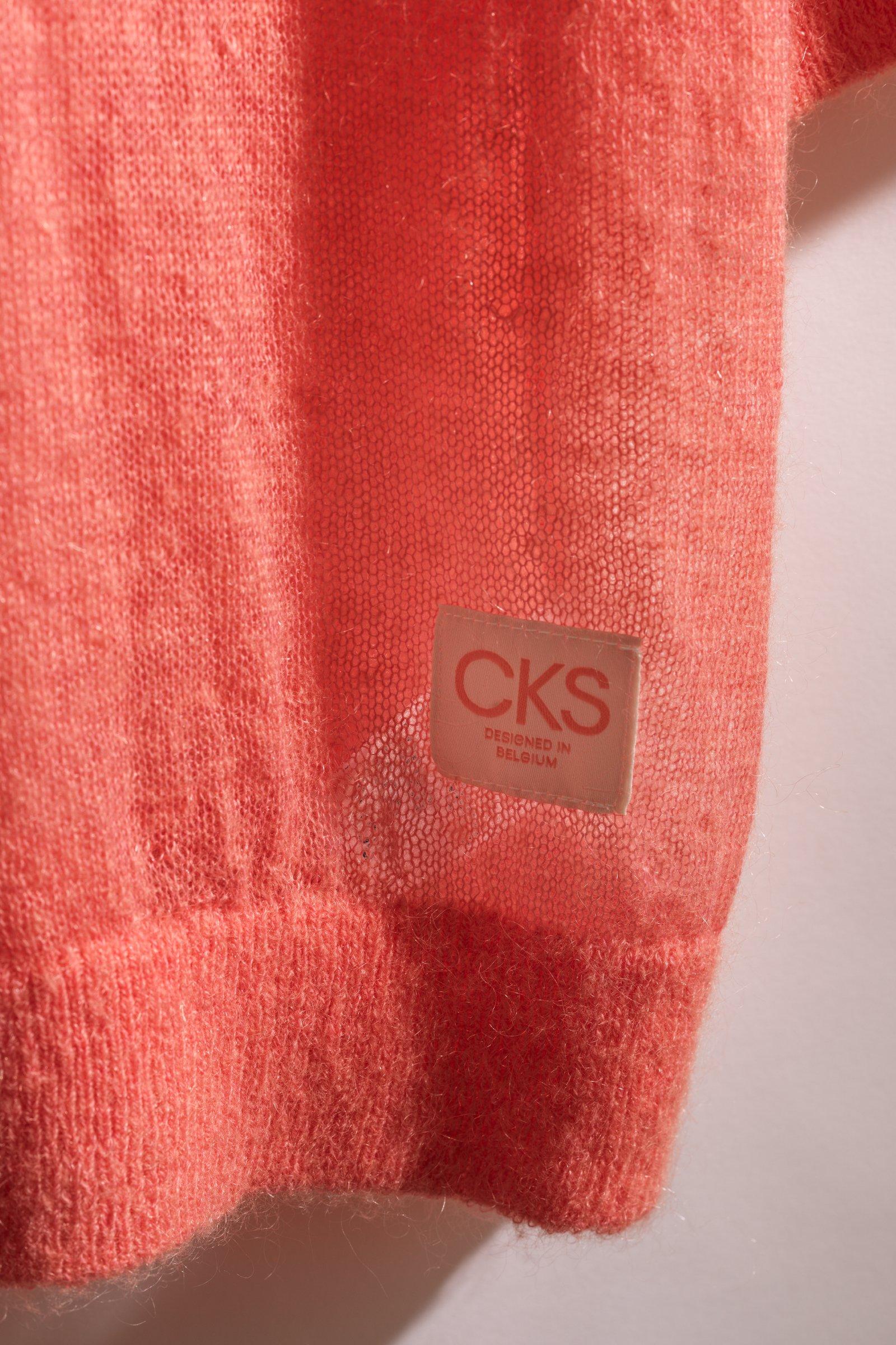 CKS - PHEBES - trui - roze