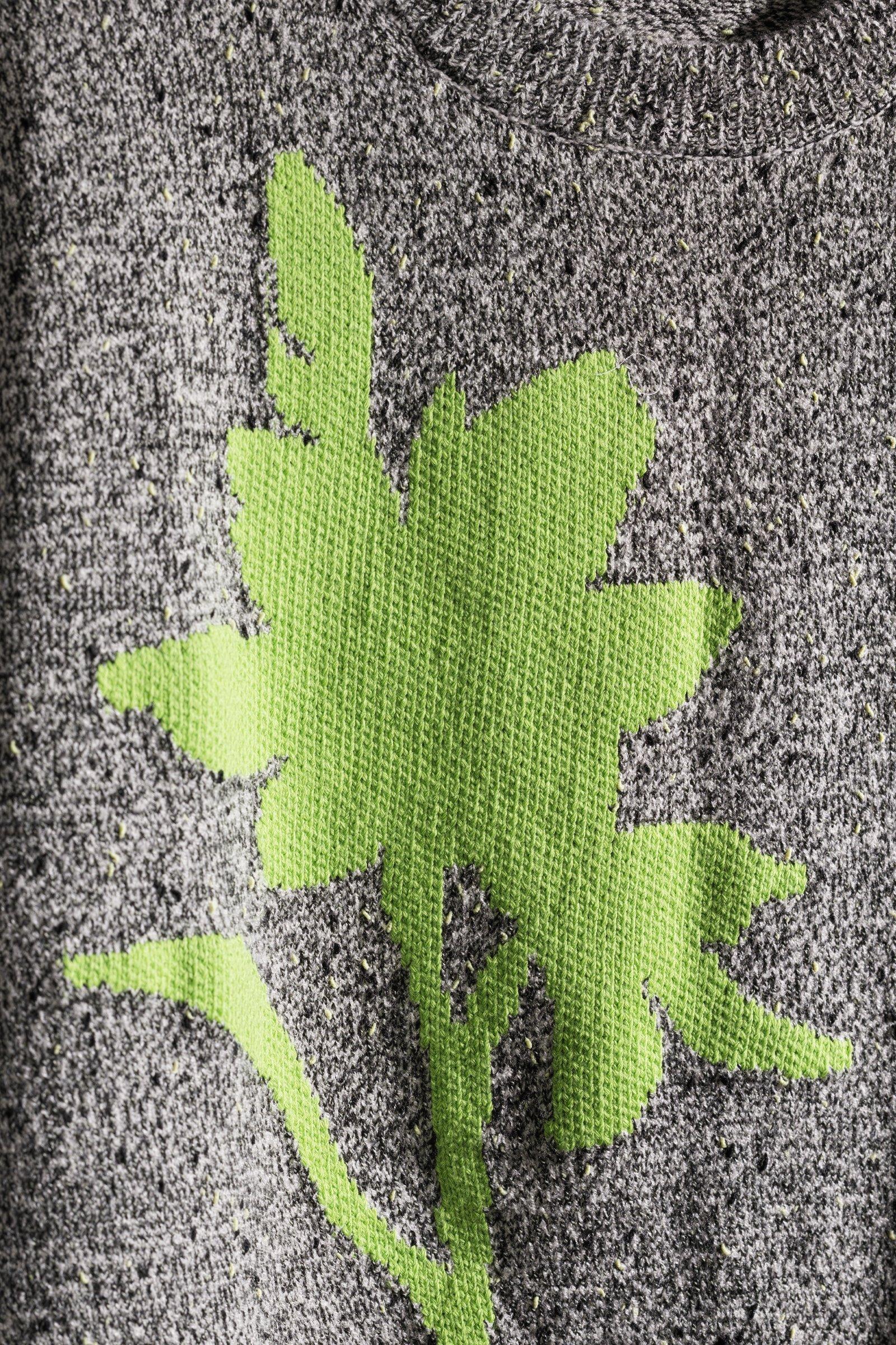 CKS - PENFOLDA - T-Shirt Kurzarm - Hellgr&uuml;n