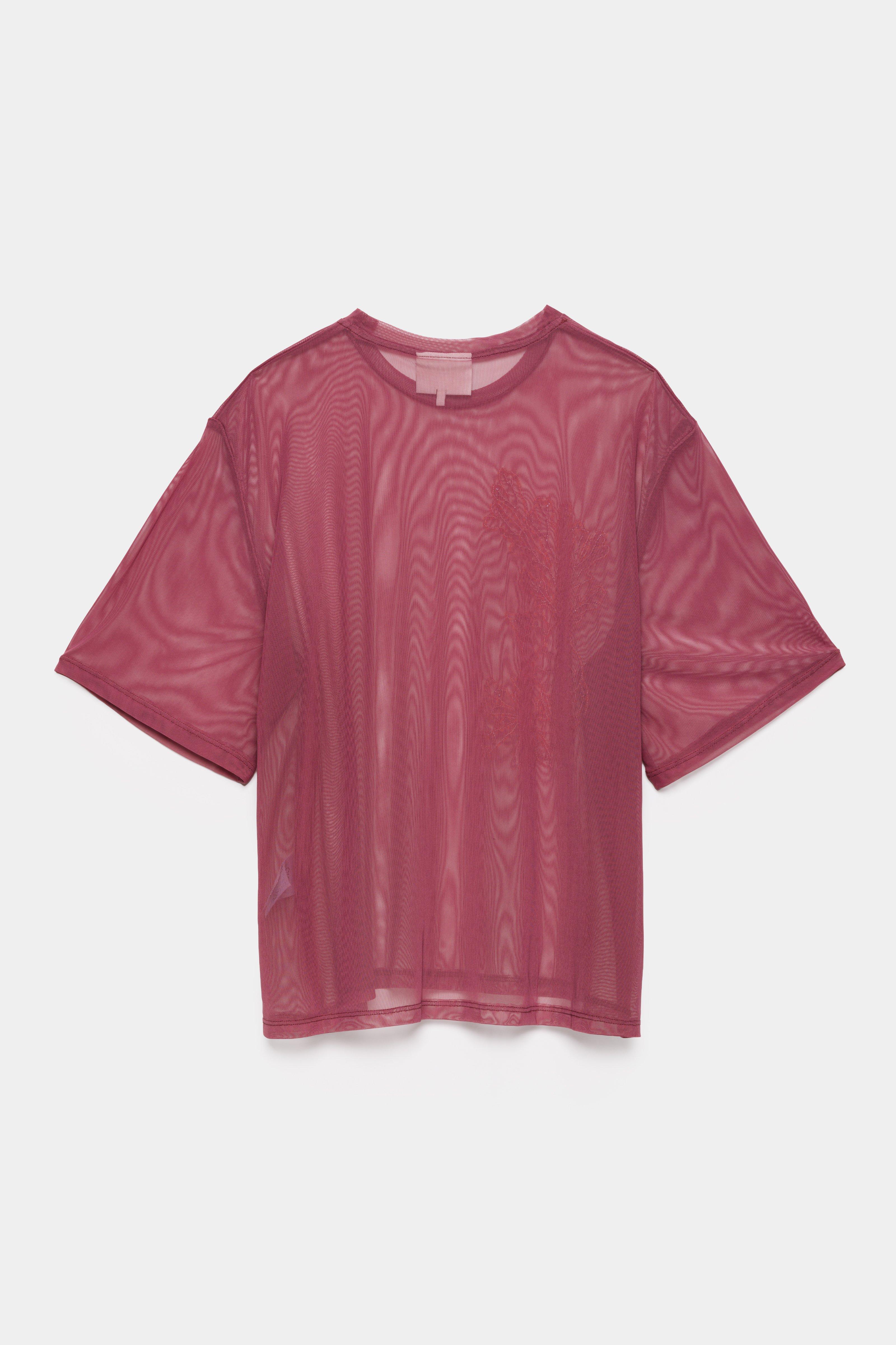 CKS - TRANSPARENT - t-shirt korte mouwen - bordeaux