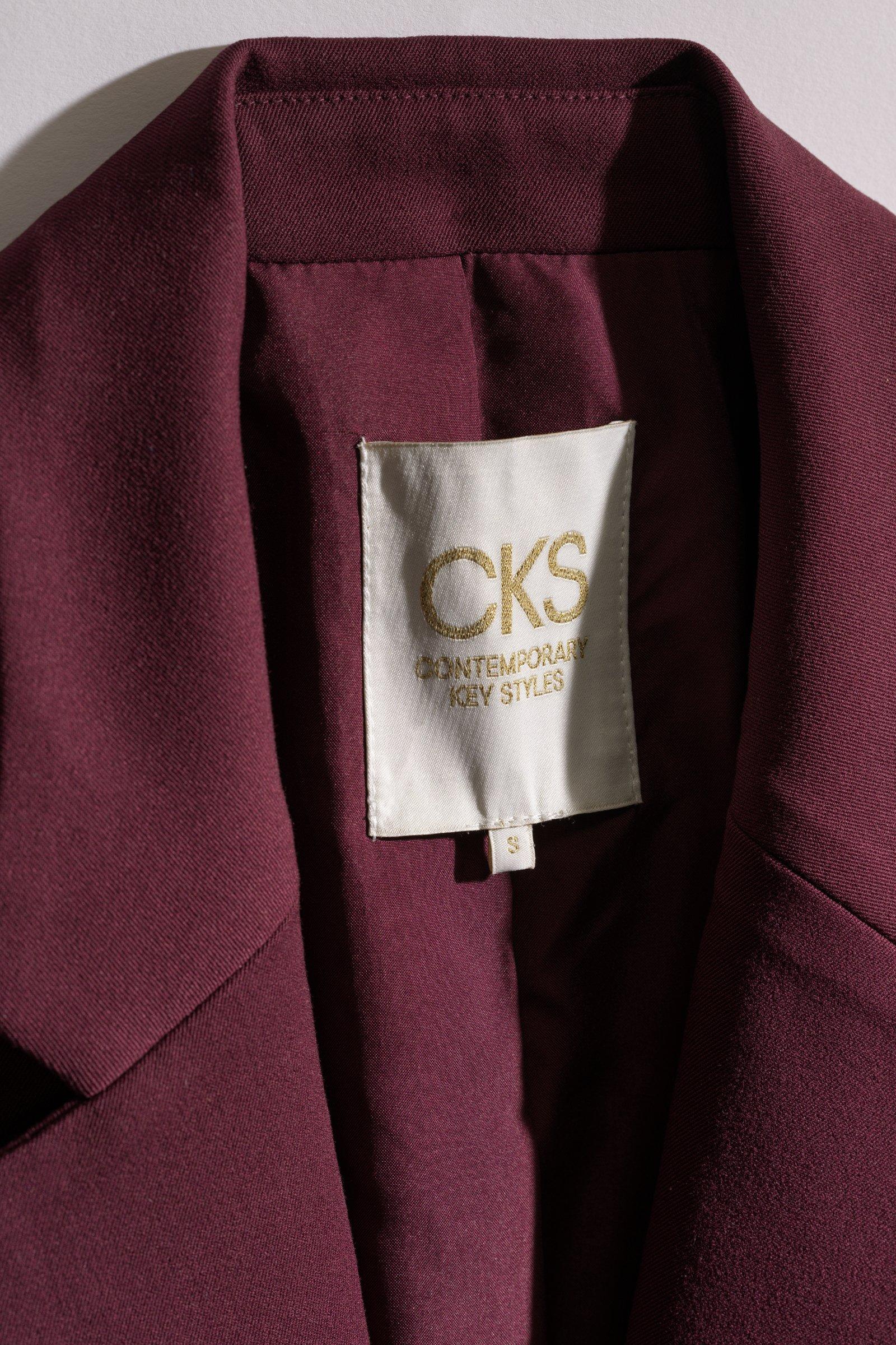 CKS - CLAZERBY - Blazer - Violett